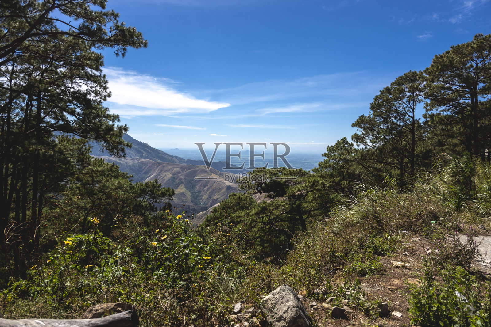 湛蓝的天空下群山的优美景色,一棵绿色的松树和蓬松的云衬托着宁静的美景。在Pangasinan的圣尼古拉斯,科迪勒拉山脉的一部分。照片摄影图片