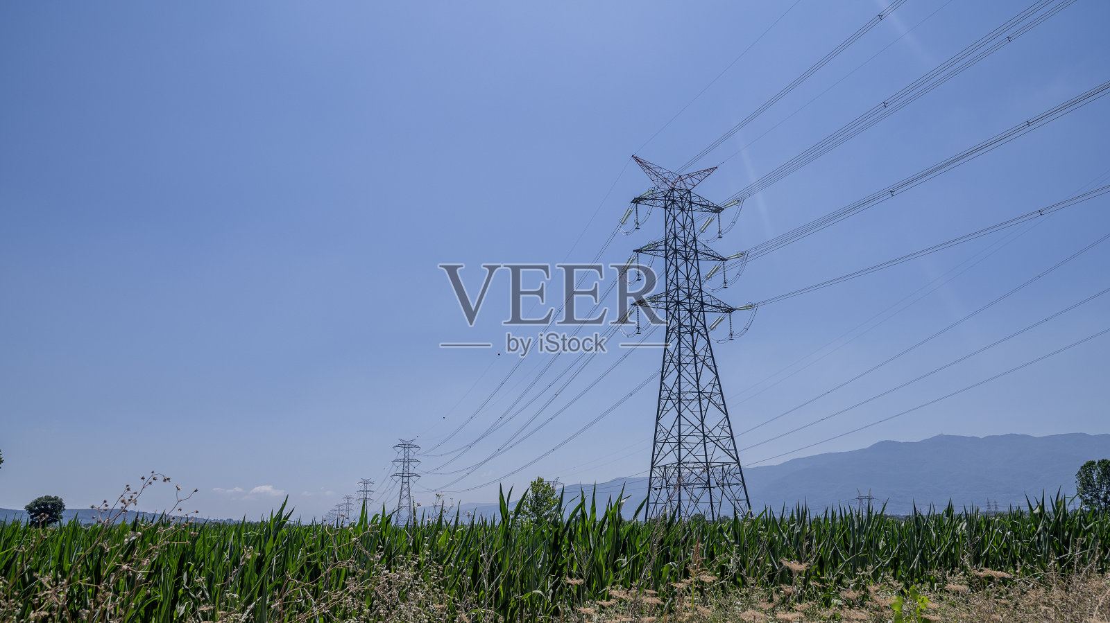 电线杆在场地中央照片摄影图片