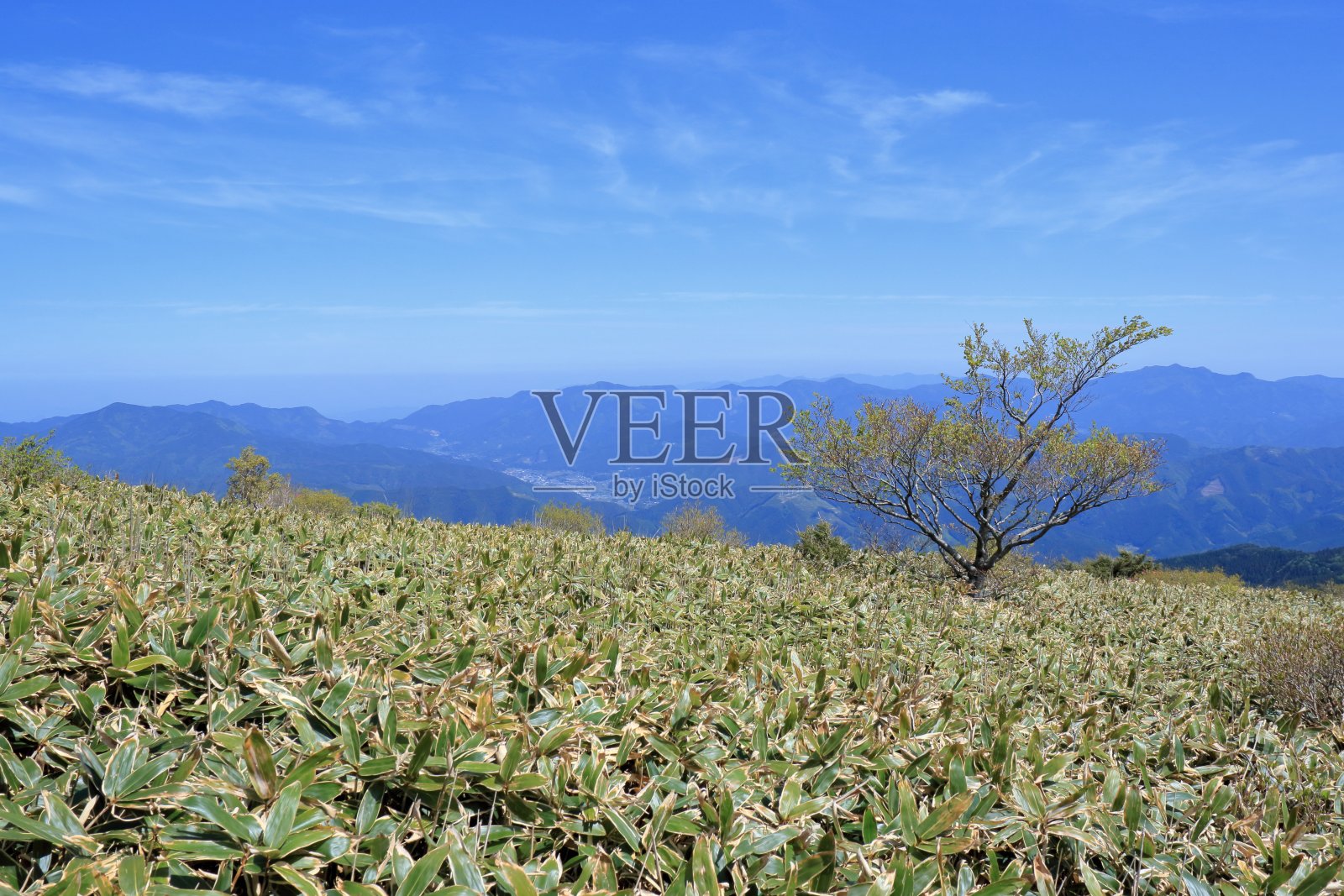 初夏(爱媛县四国喀斯特),从山道看冈山照片摄影图片