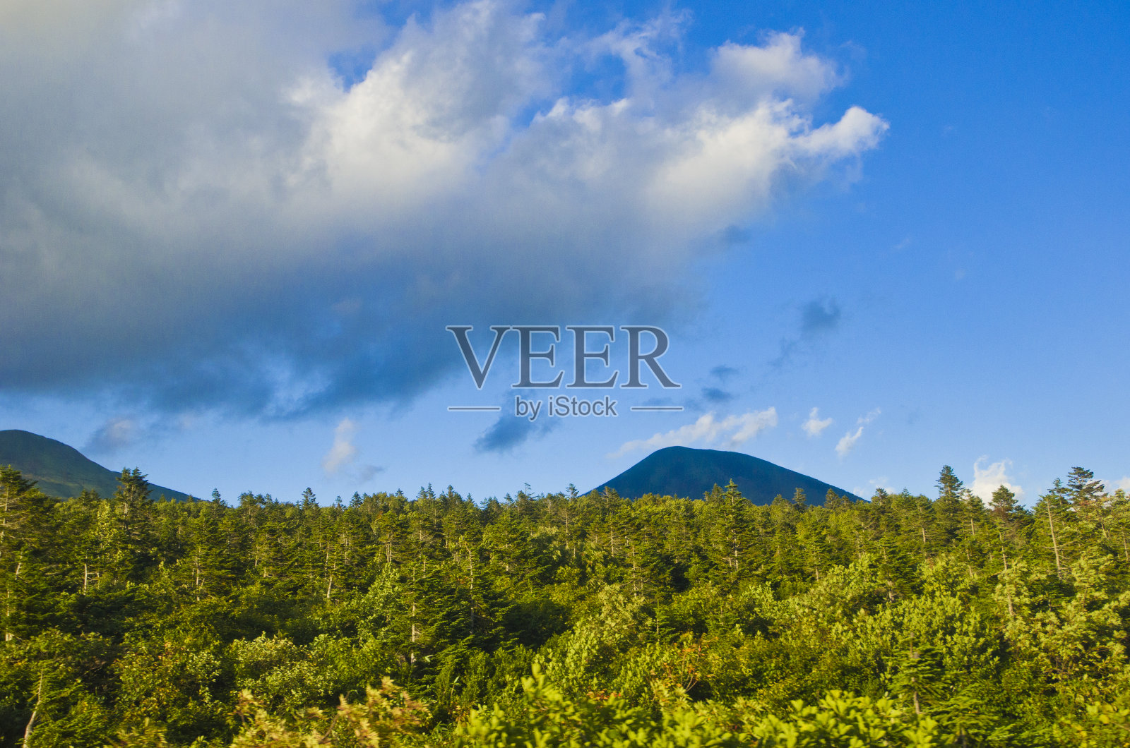 日本东北地区青森县武田八幡台国立公园的Hakkoda山景观。照片摄影图片