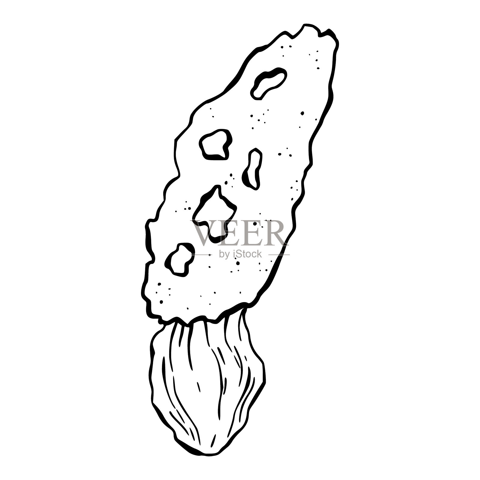 魔法毒蘑菇元素。纹身菌类设计,时尚浪漫的象征。巫婆的毒伞蘑菇是万圣节的礼物。矢量草图毒菌插图插画图片素材