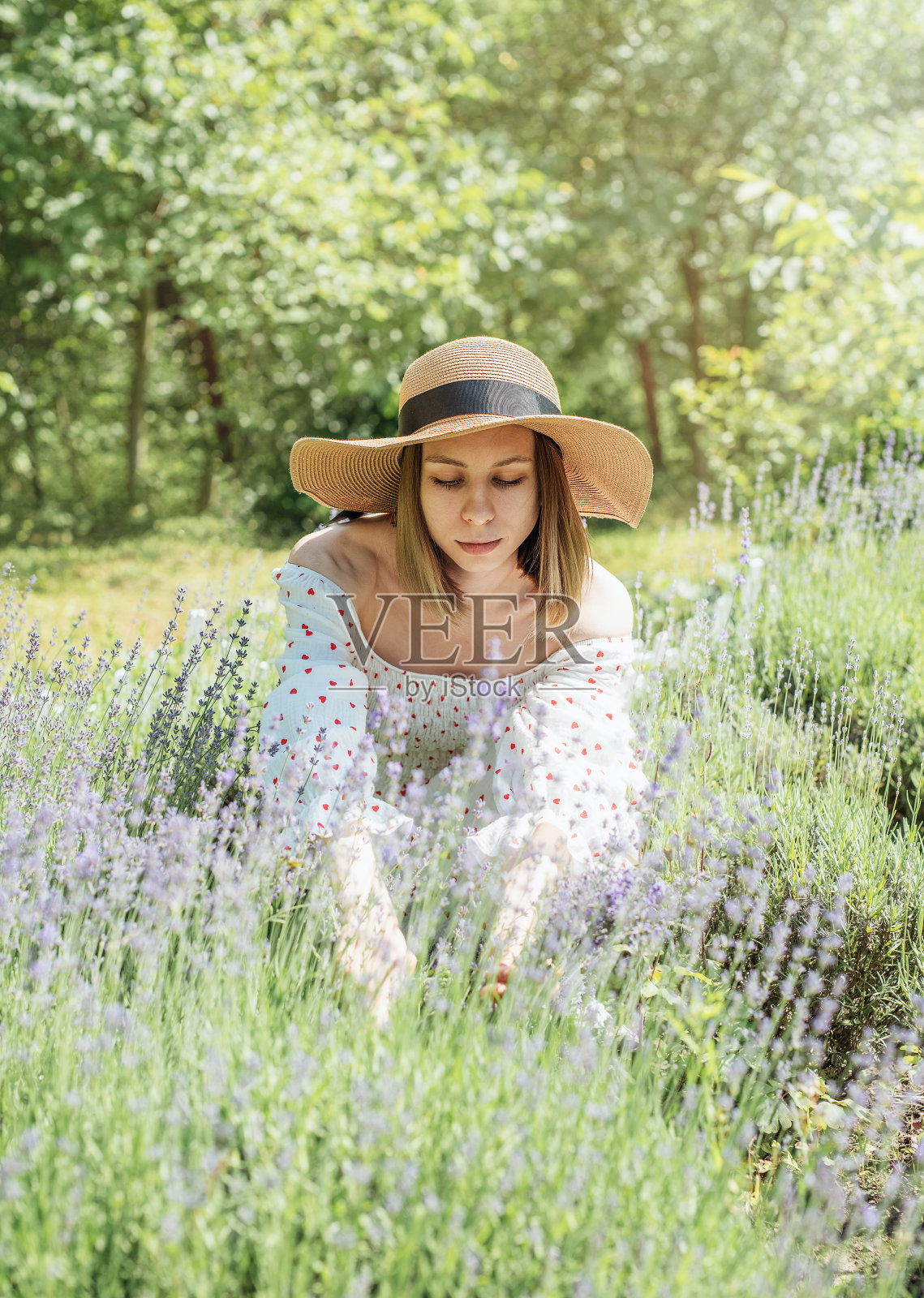 采摘薰衣草的年轻女子照片摄影图片
