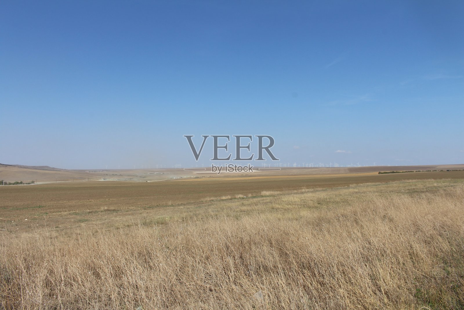 一片干草地照片摄影图片