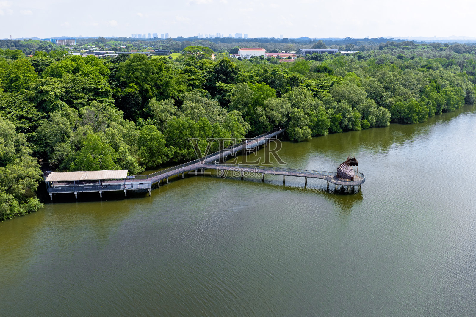 新加坡自然保护区的海滨木板路照片摄影图片