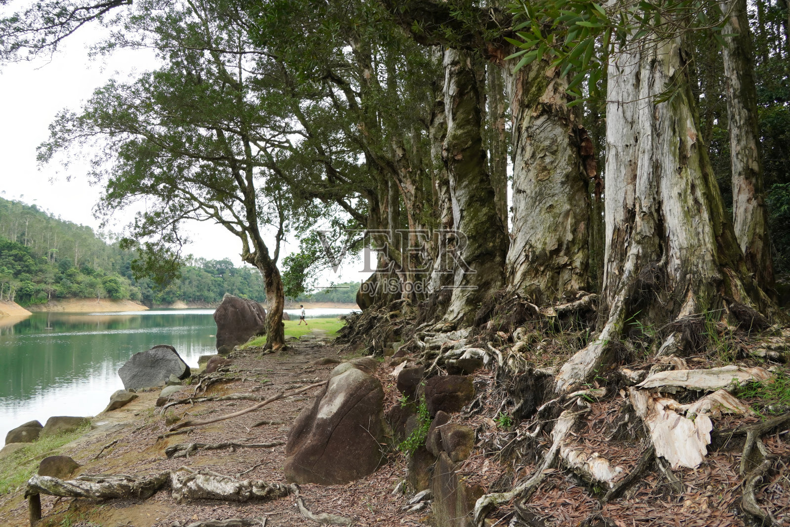 香港城门水塘的美丽景色。照片摄影图片