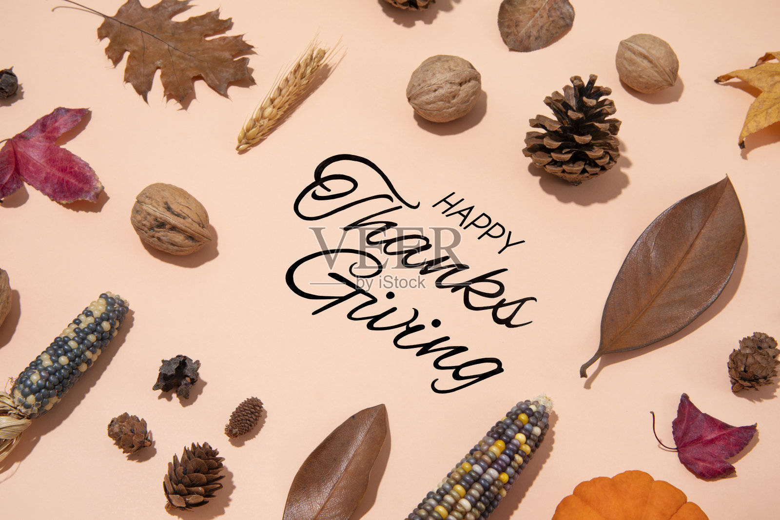 感恩节快乐照片摄影图片