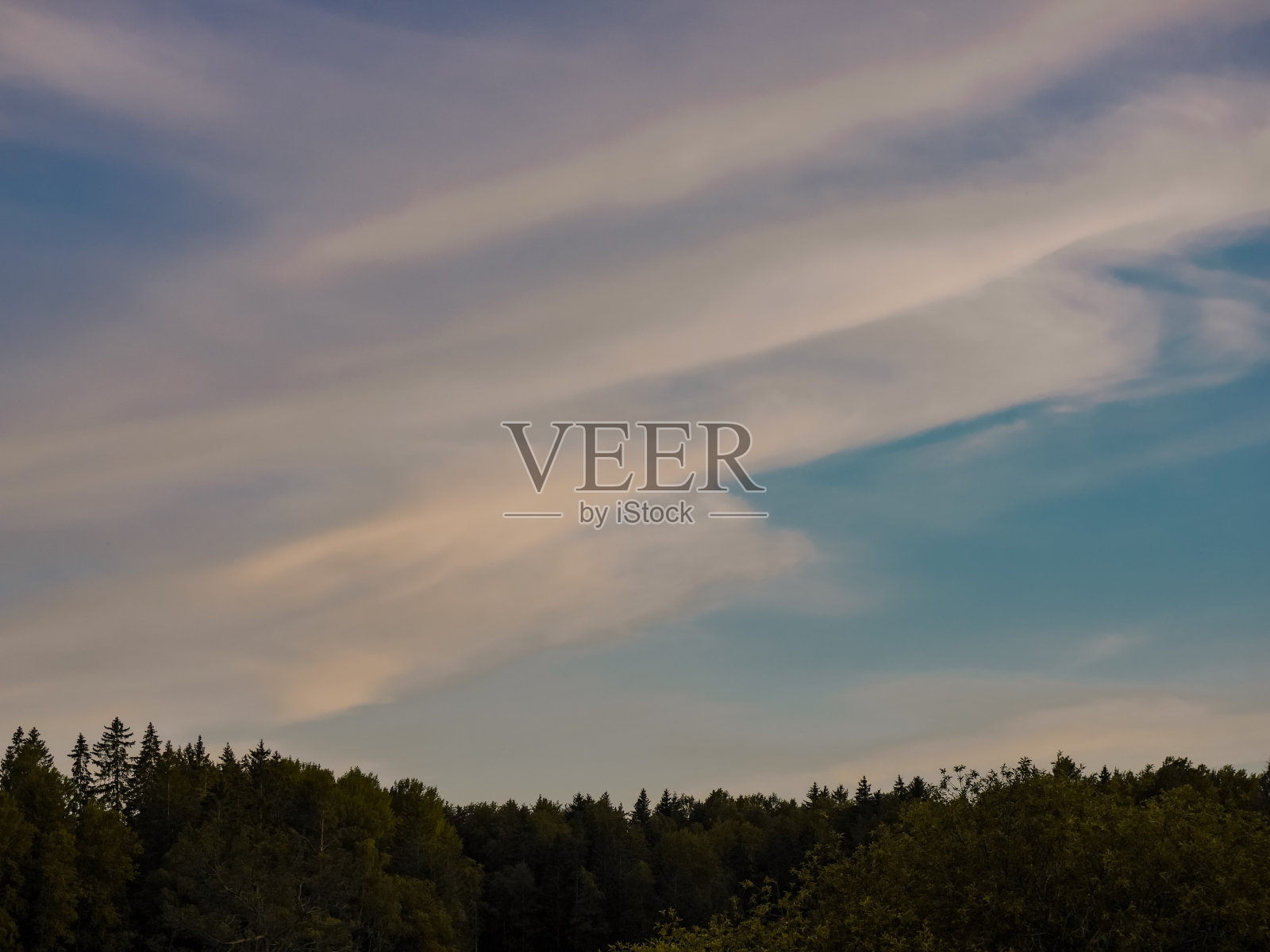 傍晚,森林上空乌云密布照片摄影图片