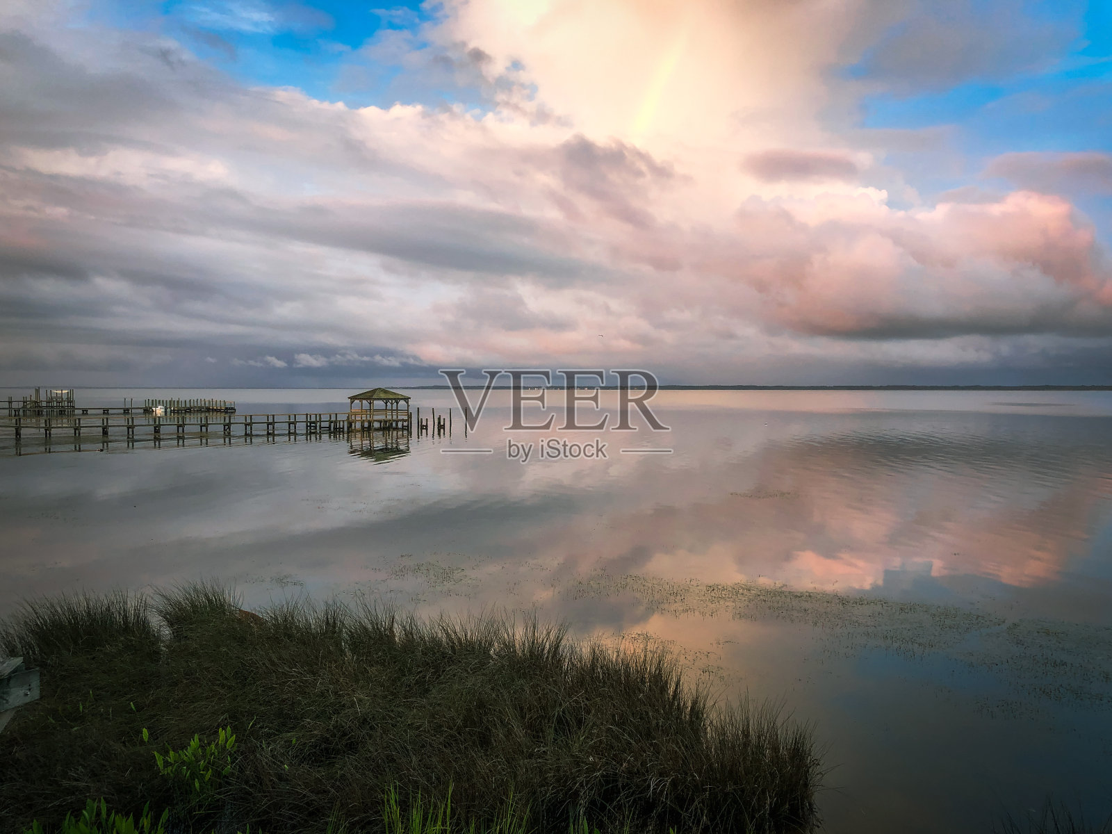 沼泽水域照片摄影图片