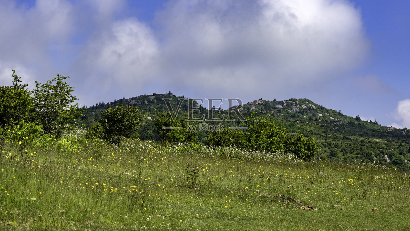 威尔本岭的岩石峰(右)是弗吉尼亚州威尔逊山格雷森高地州立公园的一个受欢迎的徒步旅行和攀岩目的地。照片摄于杜鹃花小径,2024年6月。照片摄影图片