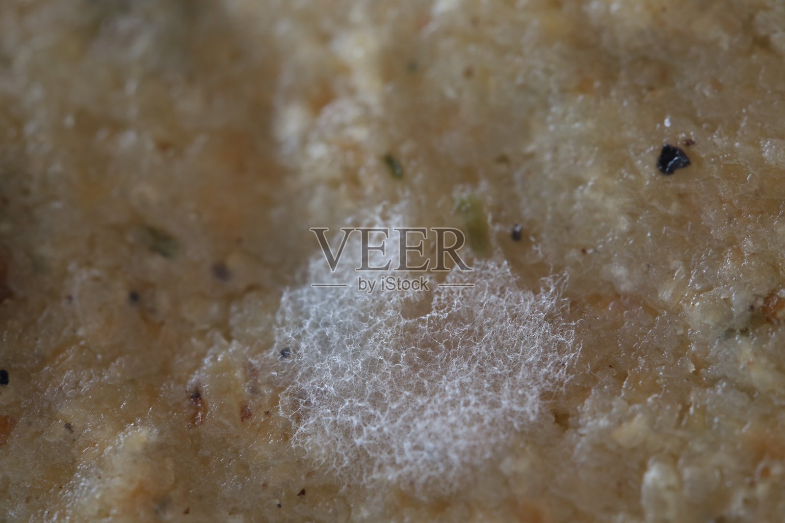 发霉发白,发霉质地宏观,变质食品照片摄影图片