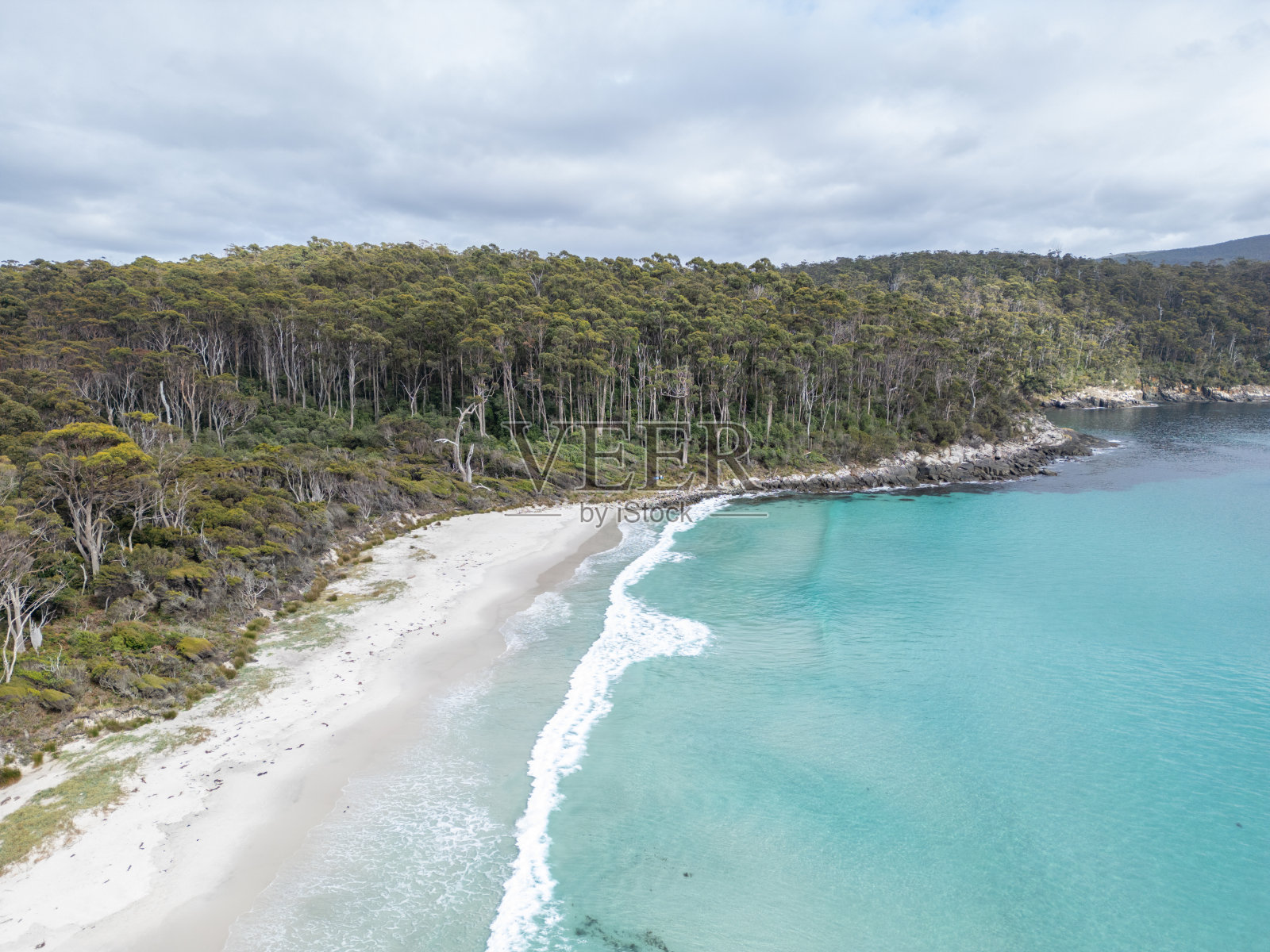 田园诗般的海滩与绿松石水和森林的背景照片摄影图片