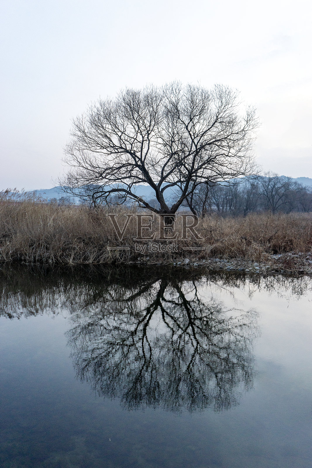河畔照片摄影图片