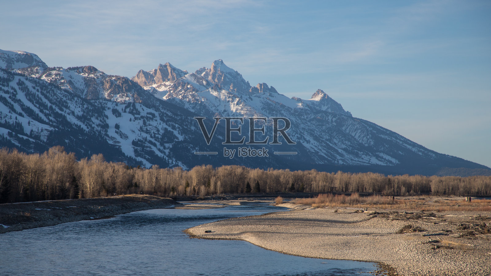 野生驼鹿,提顿山脉,大提顿国家公园,杰克逊,美国怀俄明州,野生动物,雄伟,山脉,风景,自然美景,国家公园,荒野,冒险,探索,自然,惊险,全景,景色,崎岖,景观,野生照片摄影图片