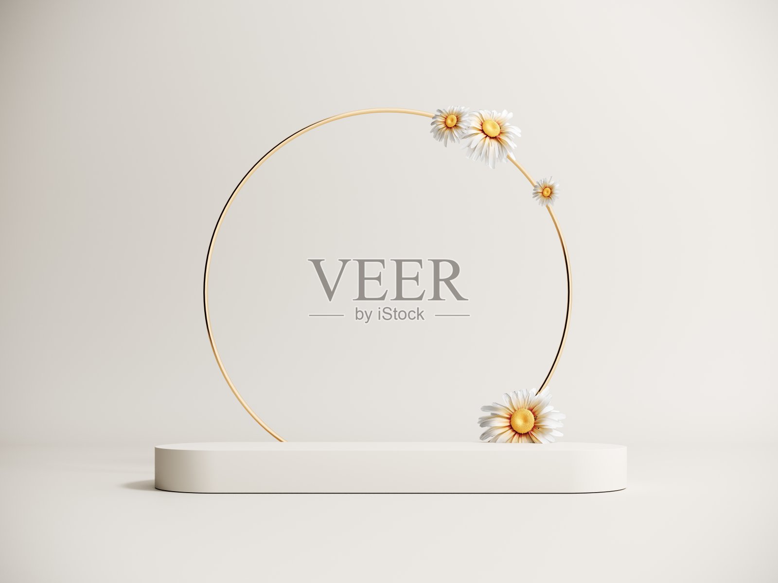 3d春天的讲台,显示与雏菊轻粉彩背景照片摄影图片