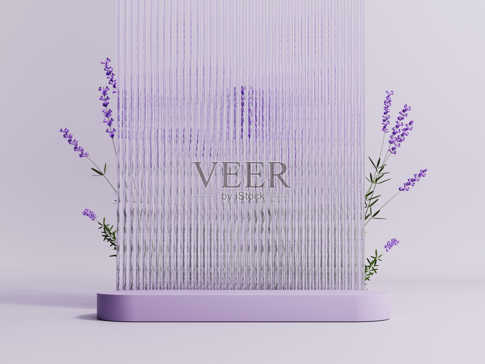 3d讲台,显示与淡紫色的背景薰衣草花。照片摄影图片