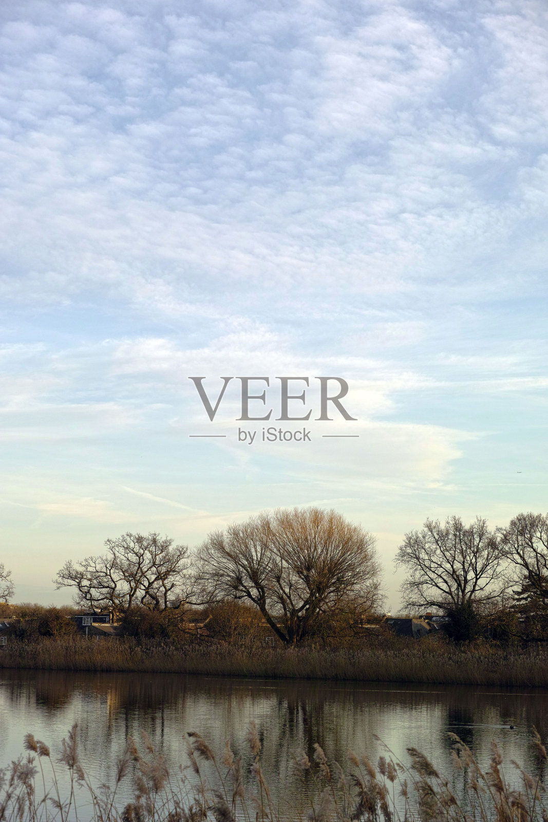 伍德伯里湿地,伦敦野生动物基金会照片摄影图片