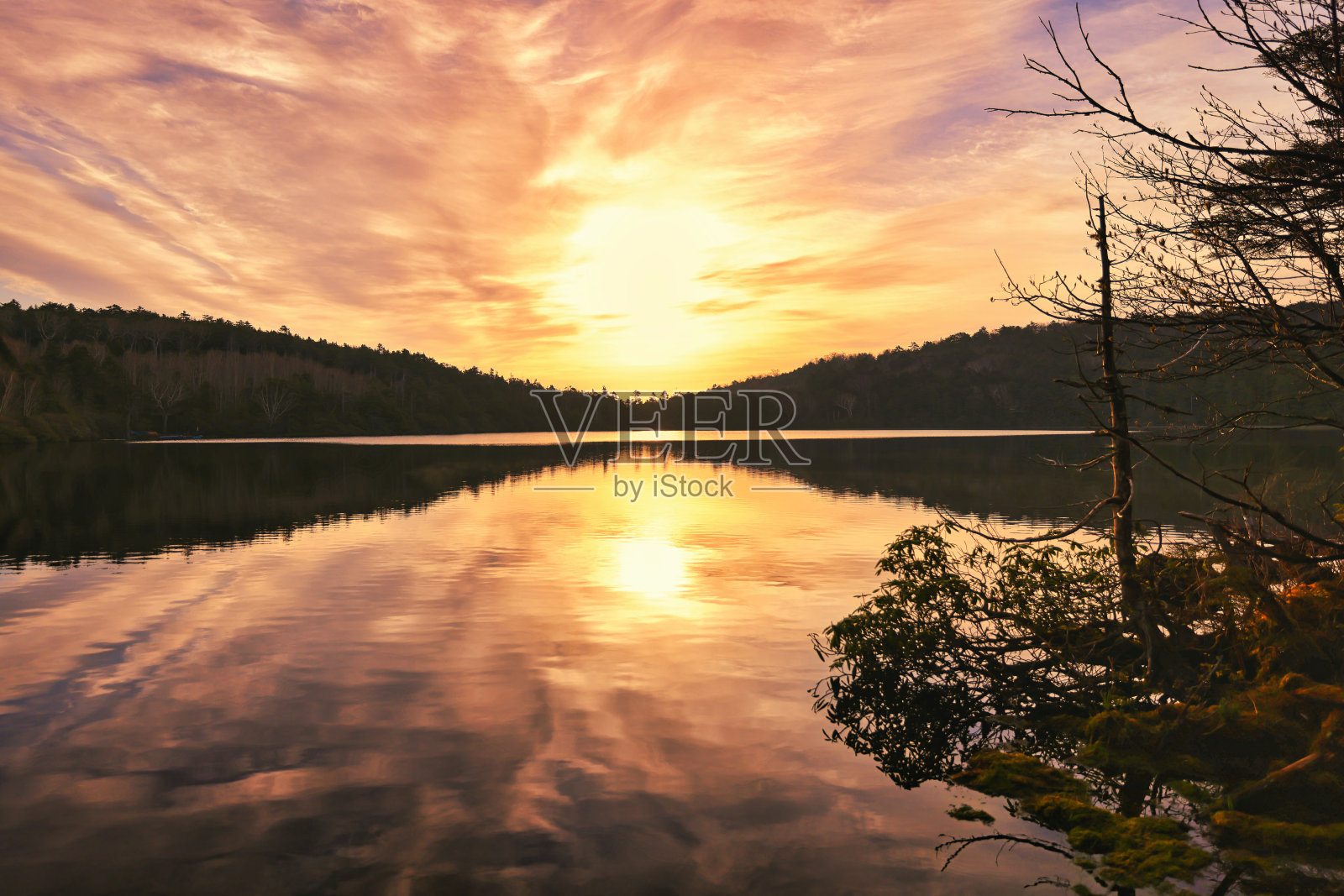 日本矢竹山脉的白竹塘照片摄影图片