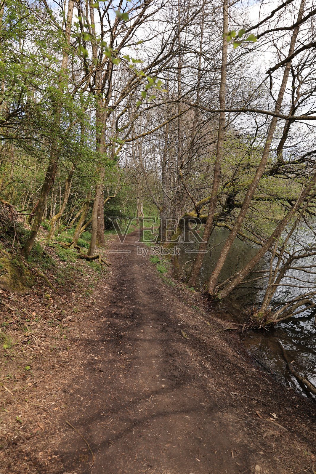 埃菲尔铁塔美丽的春日照片摄影图片