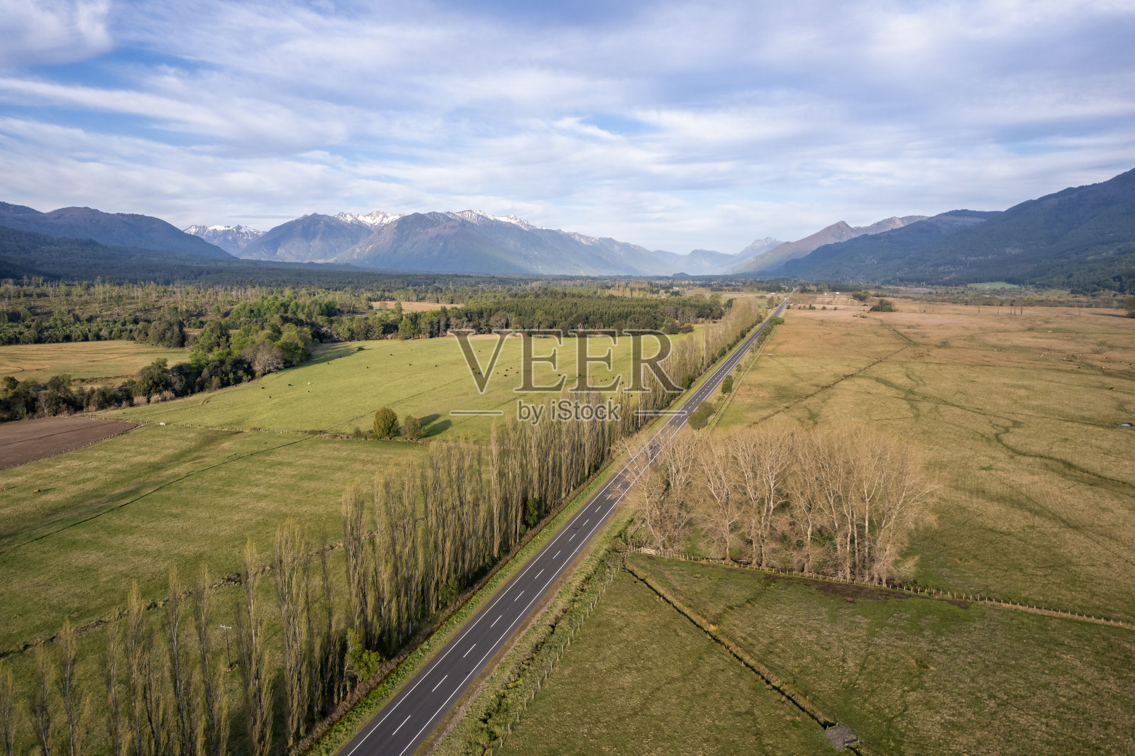 笔直的马路穿过农田照片摄影图片