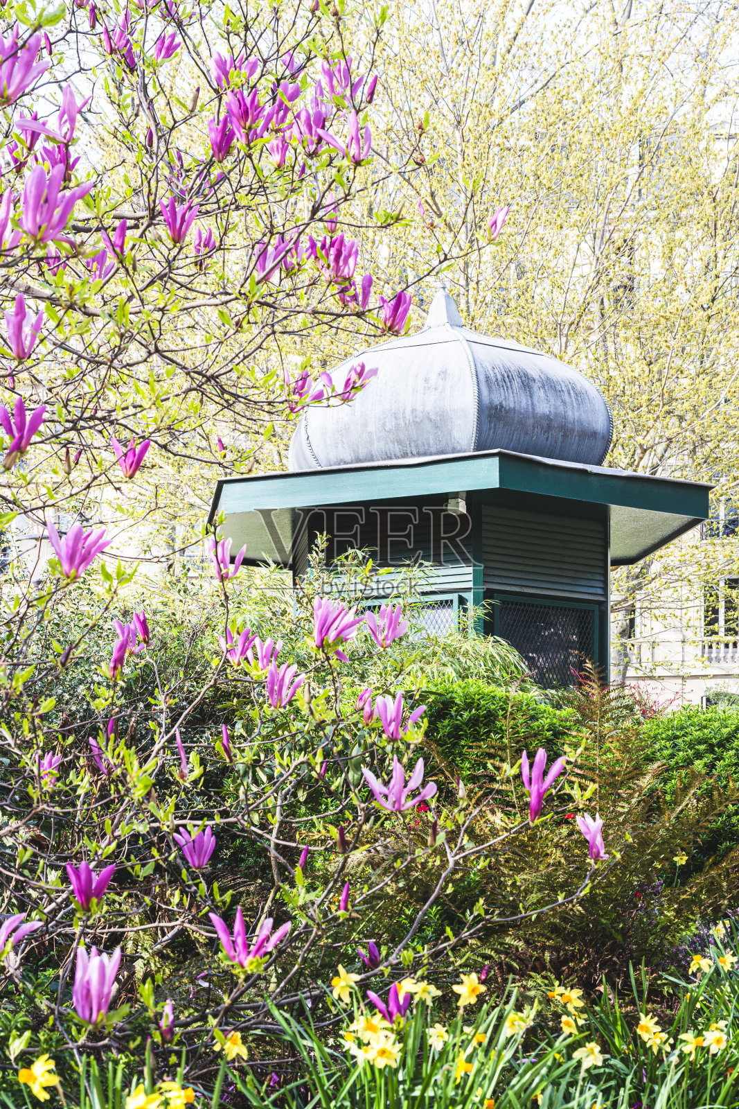 巴黎公园,巴黎7号的“布西柯广场”照片摄影图片