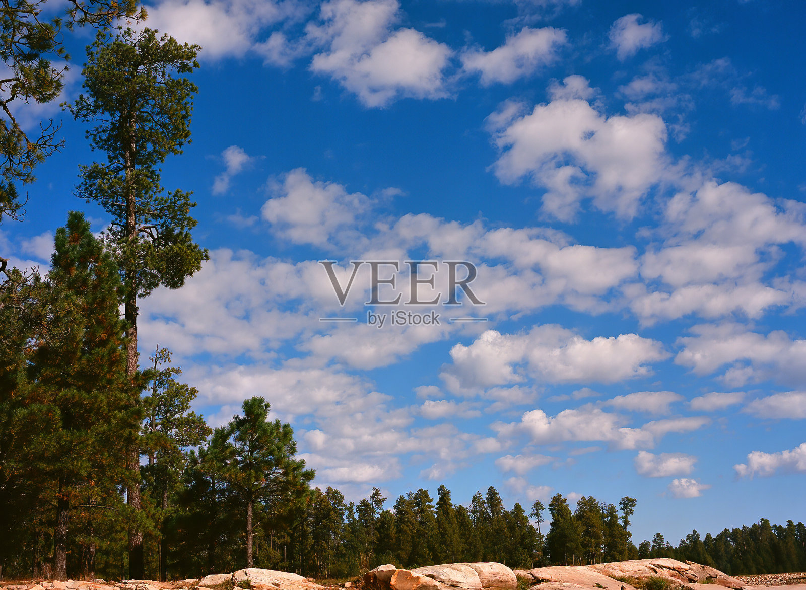 伍兹峡谷湖亚利桑那州照片摄影图片