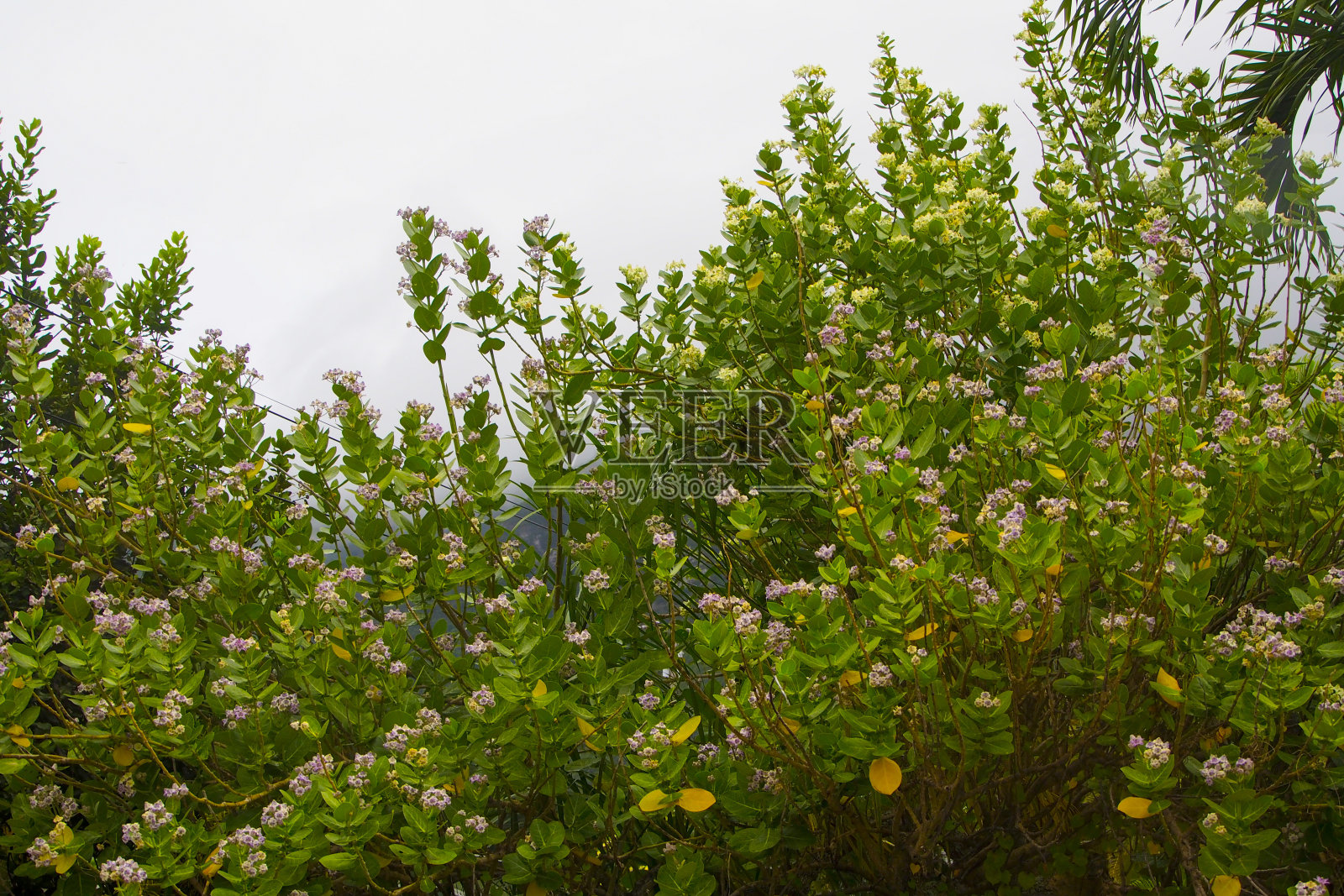 风景照片摄影图片