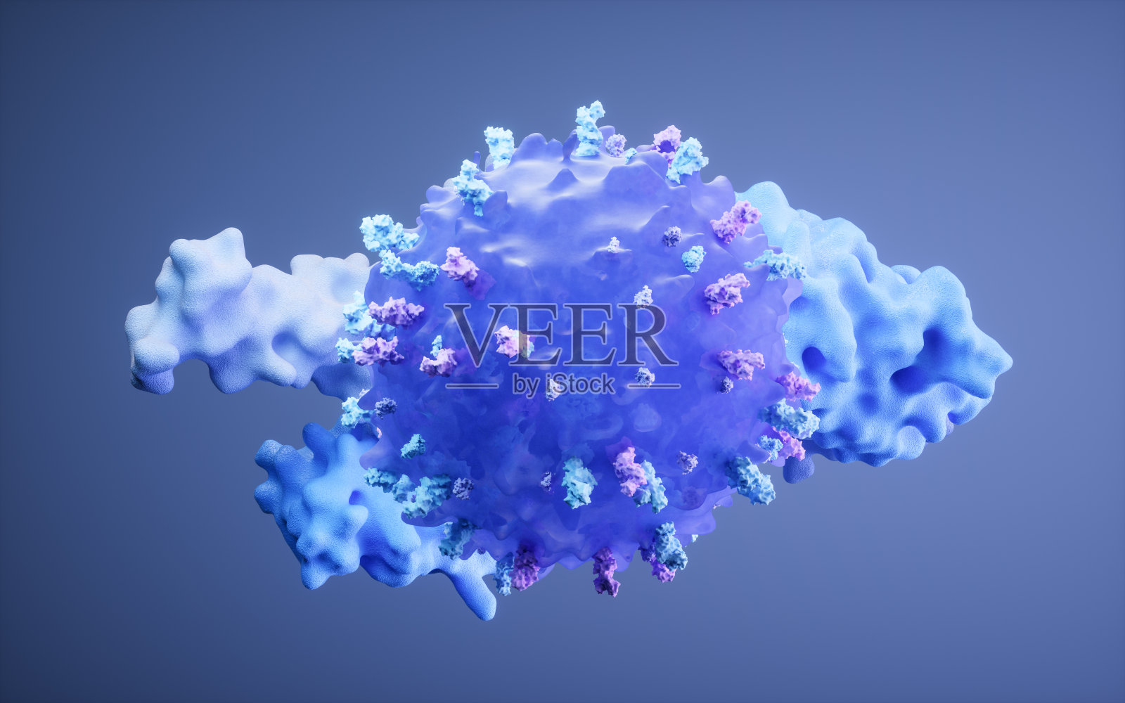 淋巴细胞和生物免疫系统,3d渲染。照片摄影图片