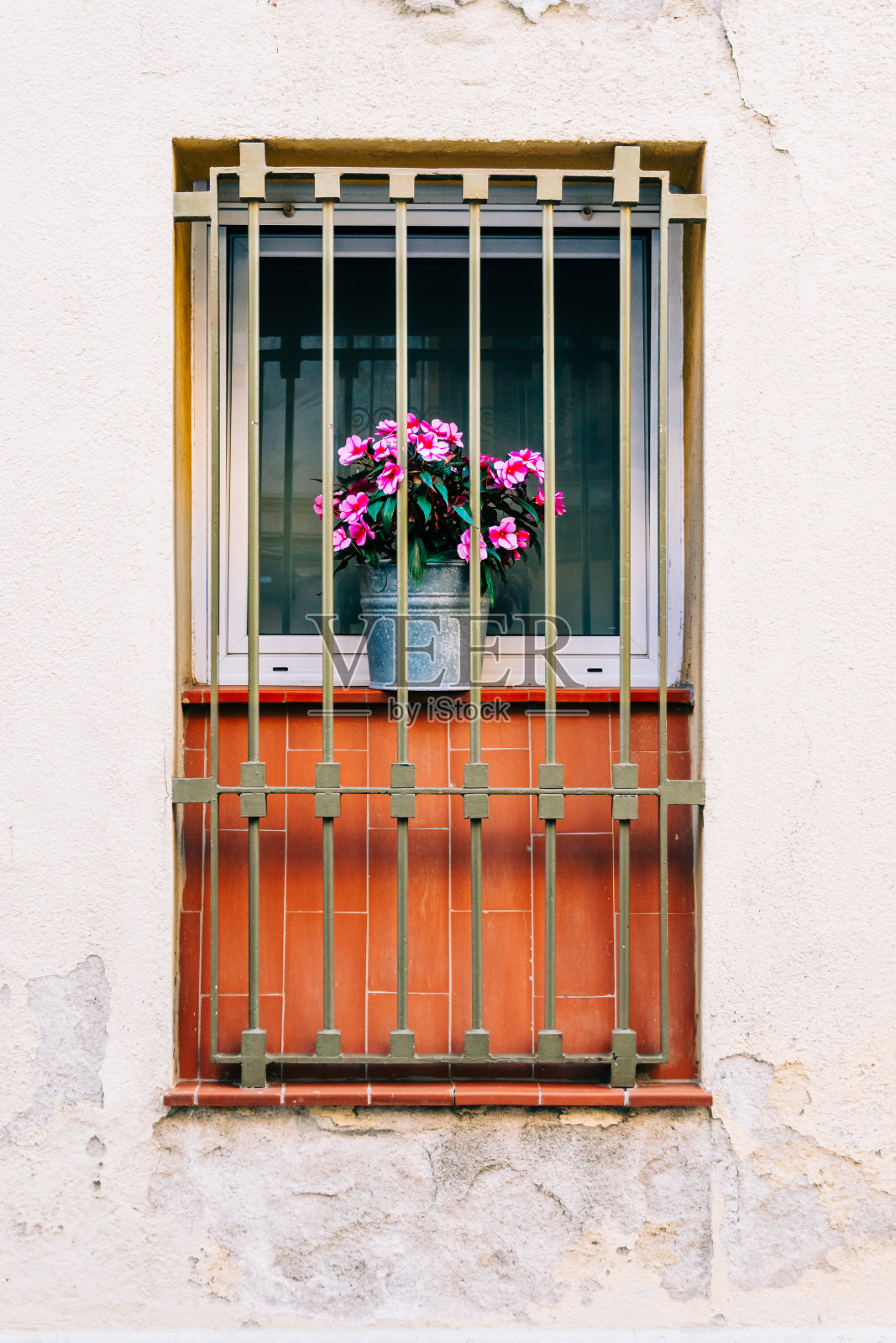 粉红色的花朵为饱经风霜的墙壁上的铁条守护的窗户增添了一丝色彩和生命。照片摄影图片
