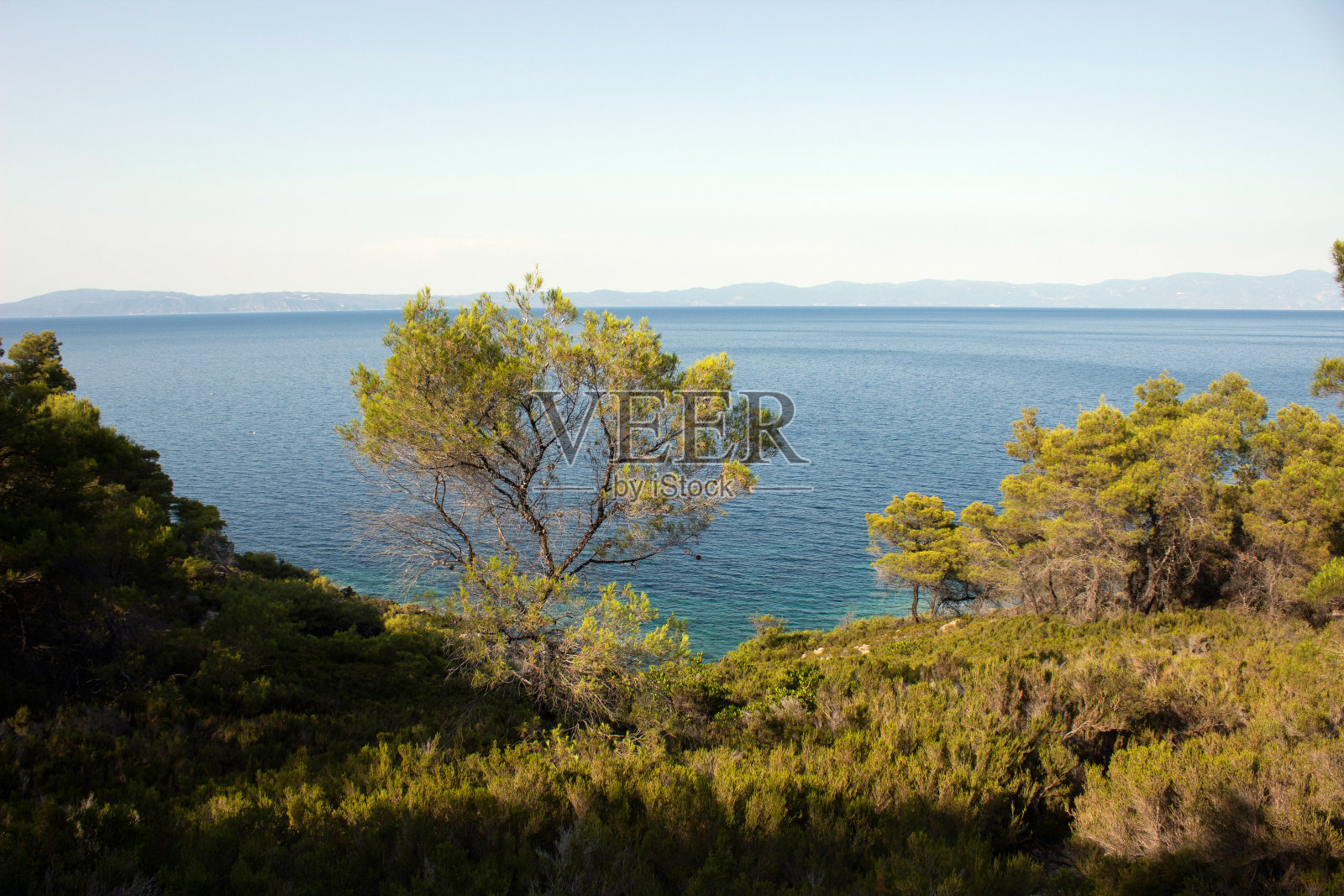 在阳光明媚的日子里,美丽的热带海滩和大海的自然景观景观。滩海空间面积照片摄影图片