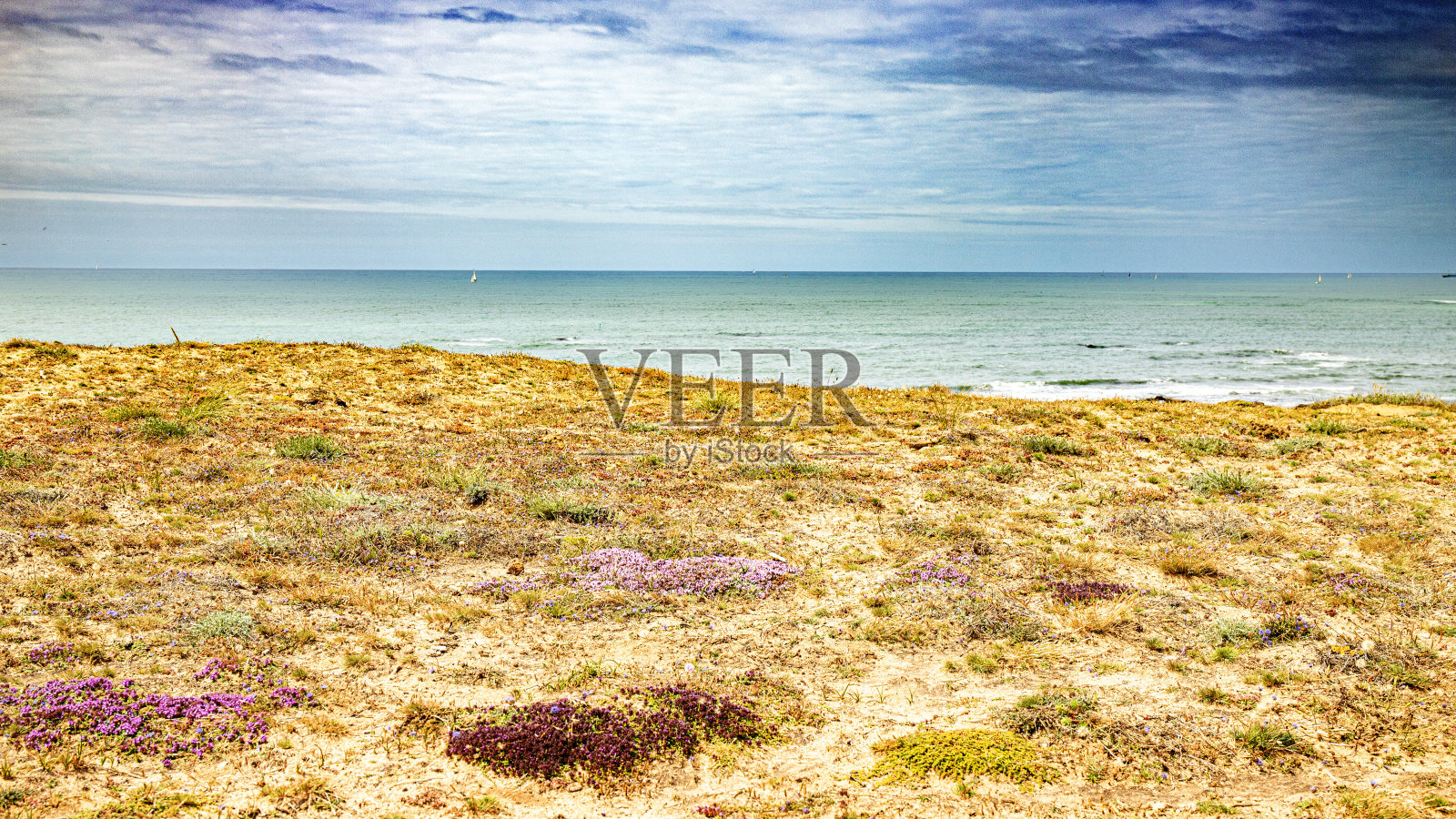 Cote vendacimenne为les sables d'olonne提供服务照片摄影图片