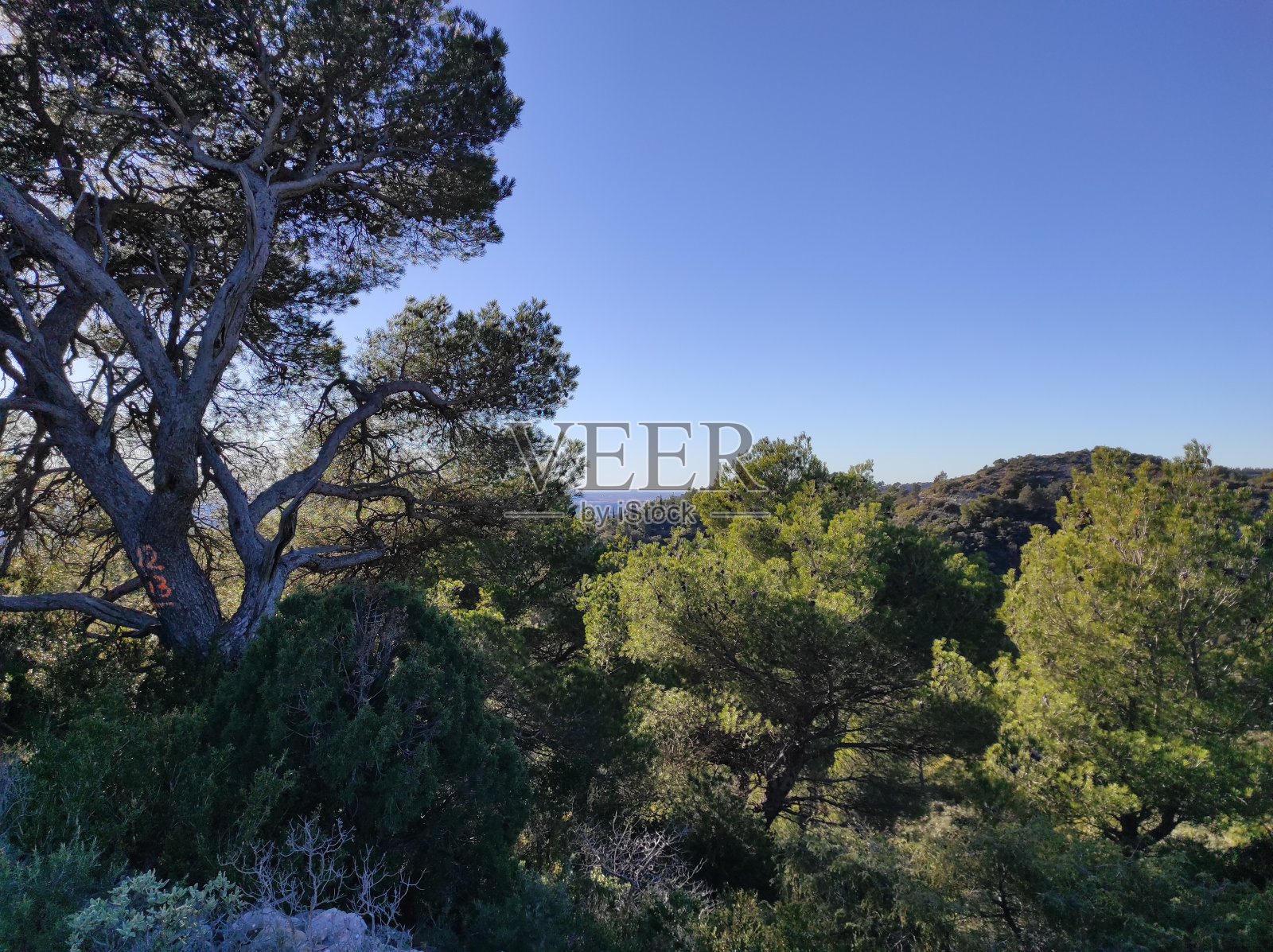 在阿尔卑斯的Les Baux-de-Provence附近远足,Bouches-du-Rhône, Provence-Alpes-Côte d'Azur,法国照片摄影图片