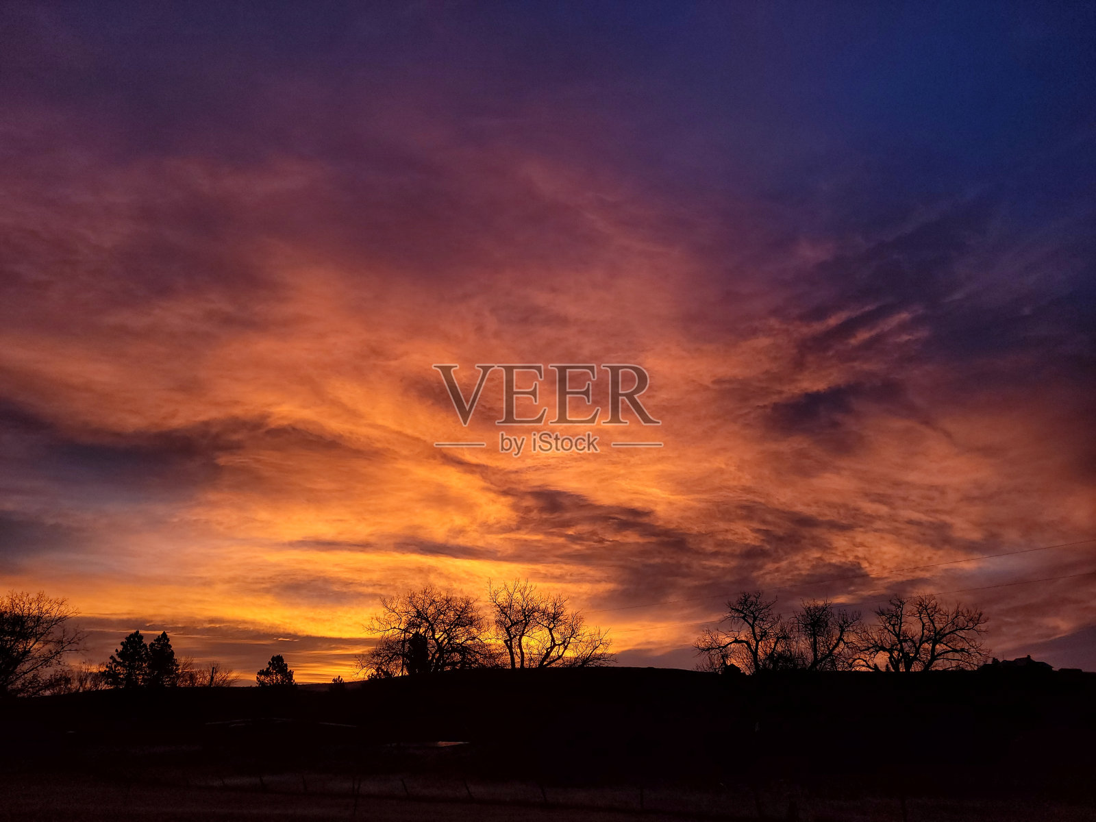 日落与树的剪影照片摄影图片