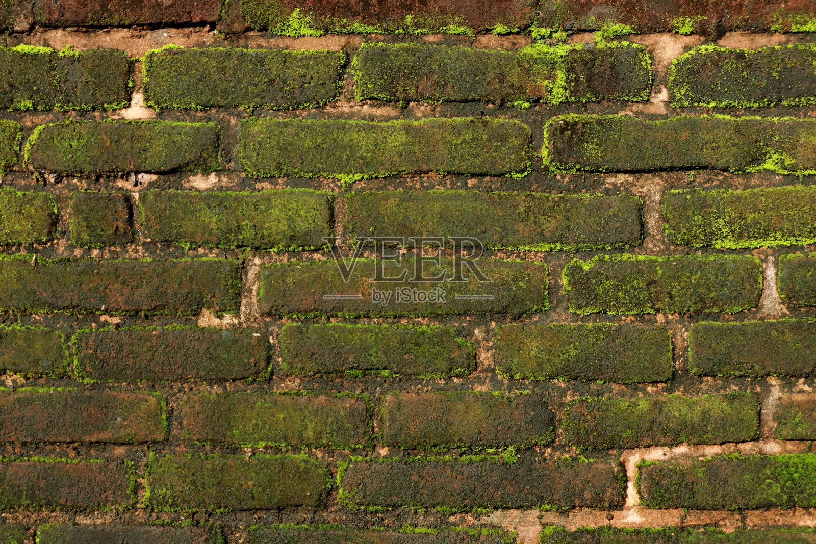一堵老砖墙上长满了青苔。砖砌纹理照片摄影图片