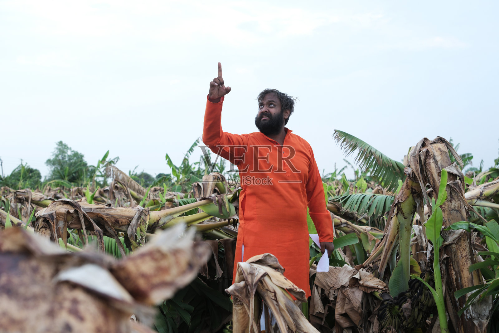 一位印度农民站在遭受自然灾害破坏的田地里,穿着传统的印度服装。照片摄影图片