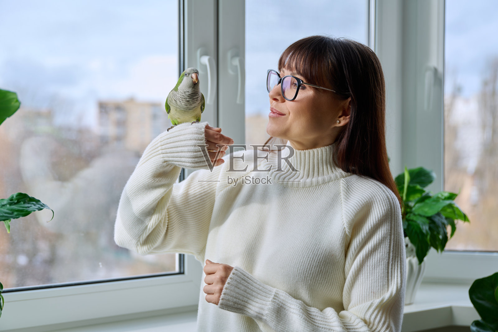 中年妇女和鹦鹉一起在家里,靠近冬天的窗户照片摄影图片