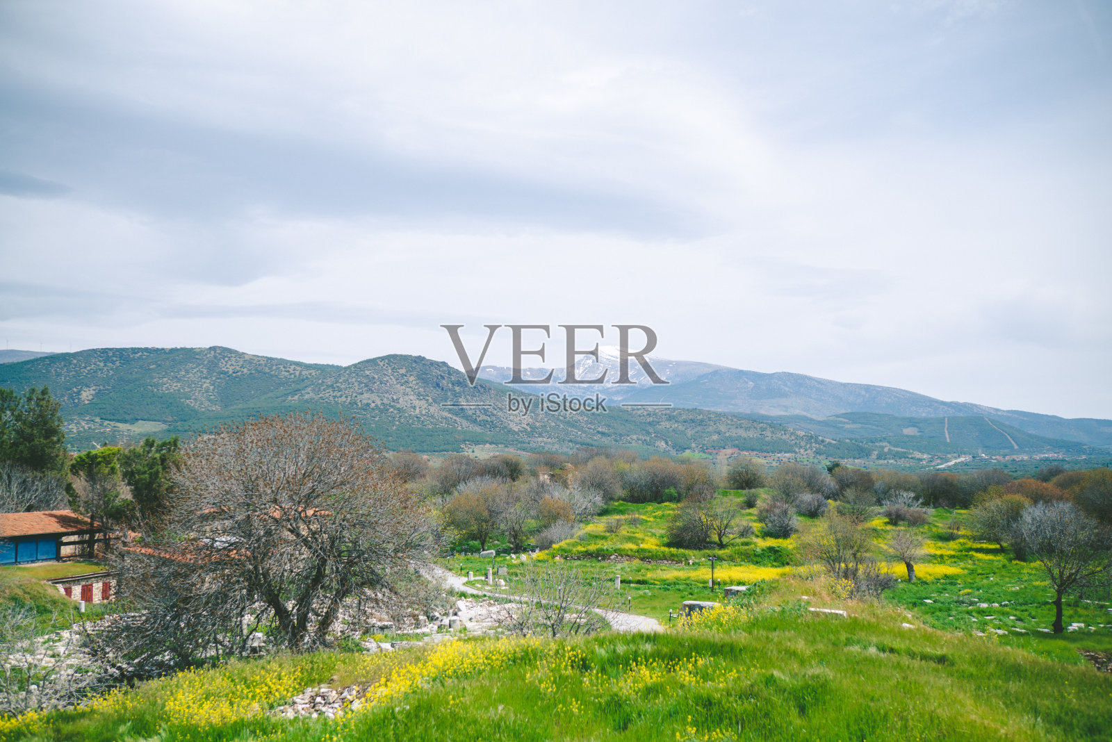 阿芙洛狄西亚斯古城遗址,Aydın,土耳其照片摄影图片