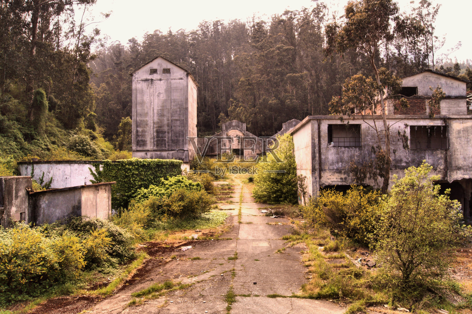 其中一个工厂的正面自1999年以来就被废弃了照片摄影图片