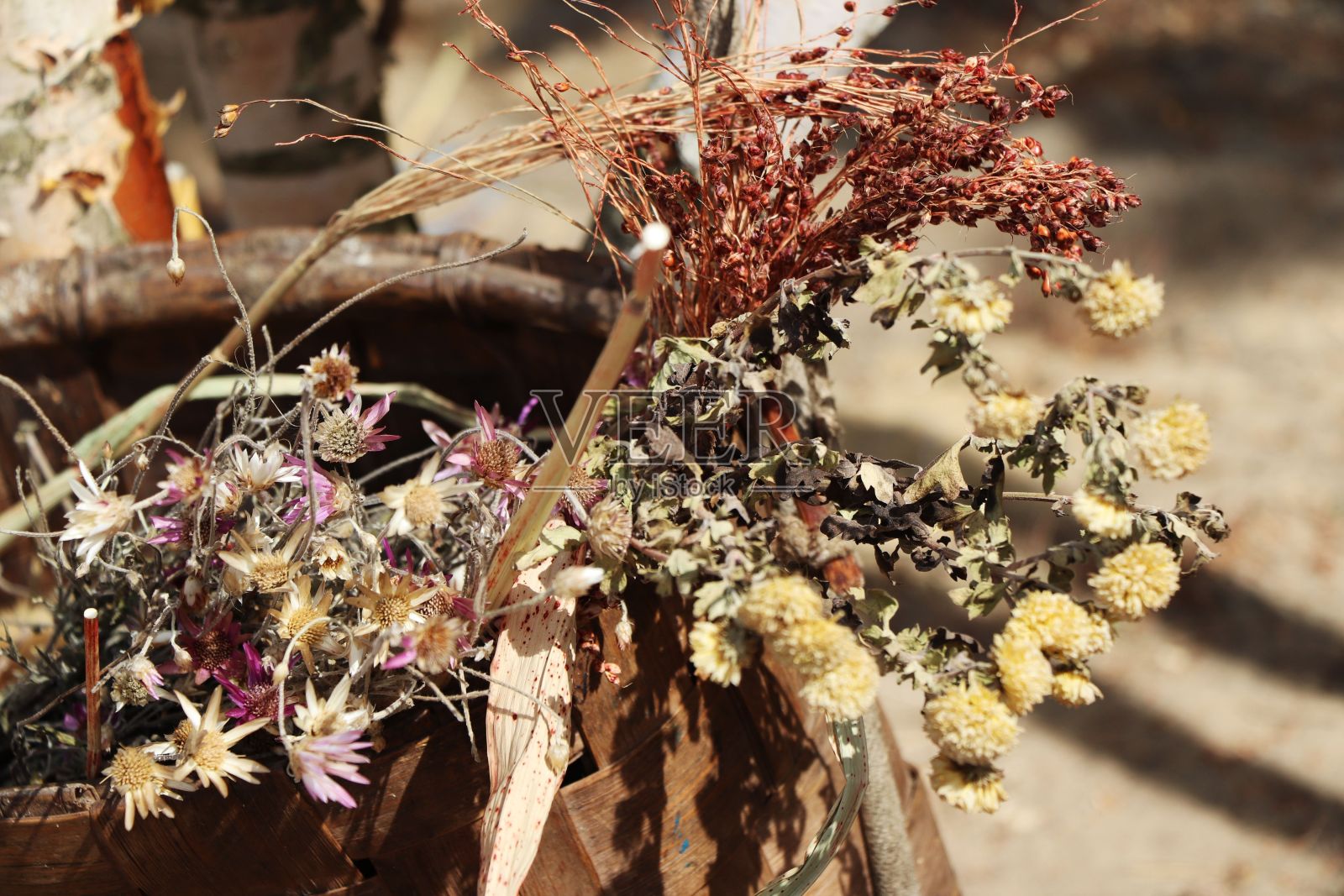 花束照片摄影图片
