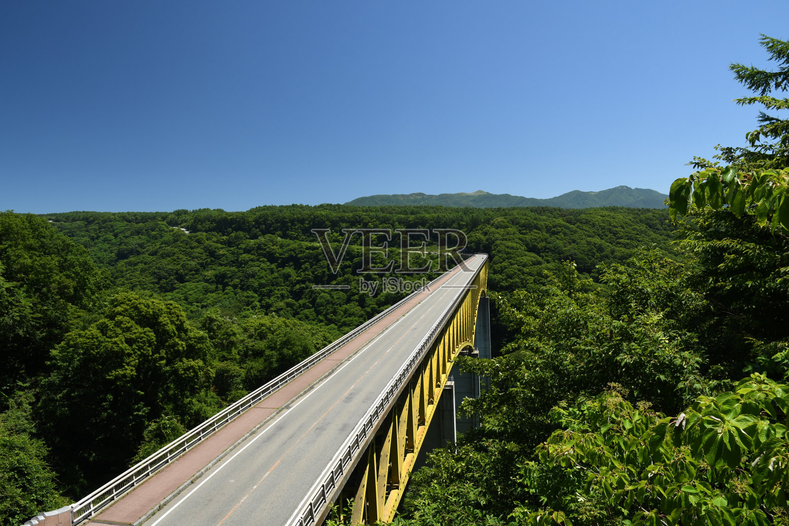 森林里的黄桥照片摄影图片