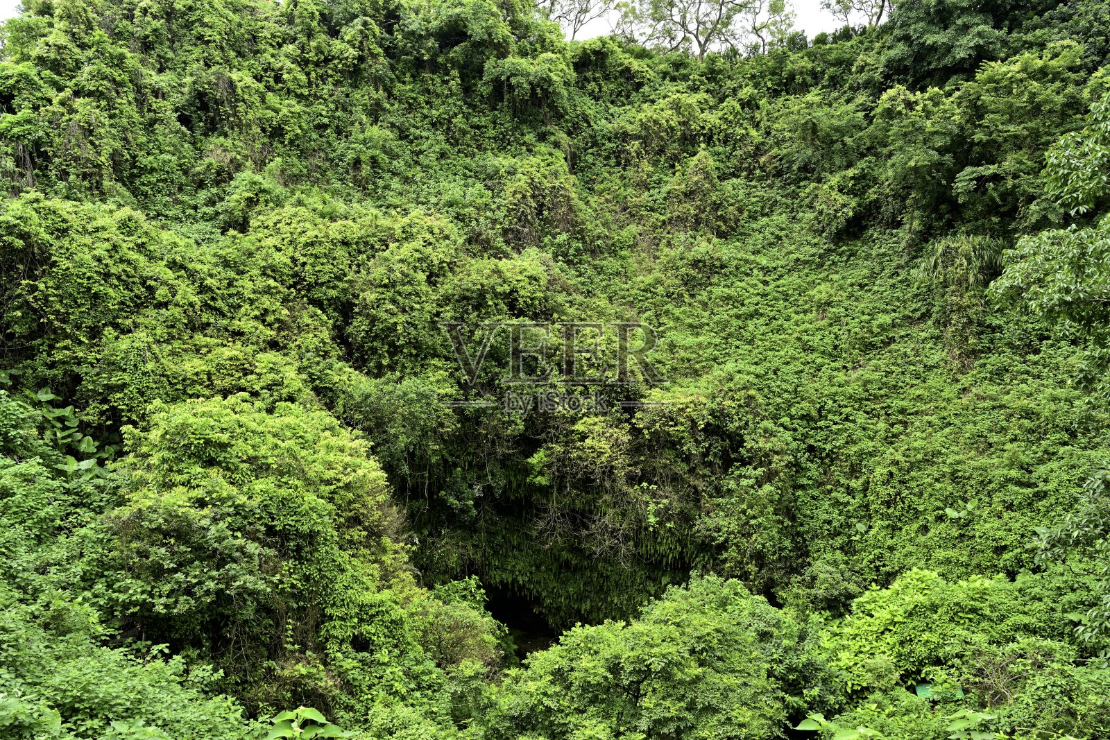 海口火山群国家地质公园-休眠的火山口照片摄影图片