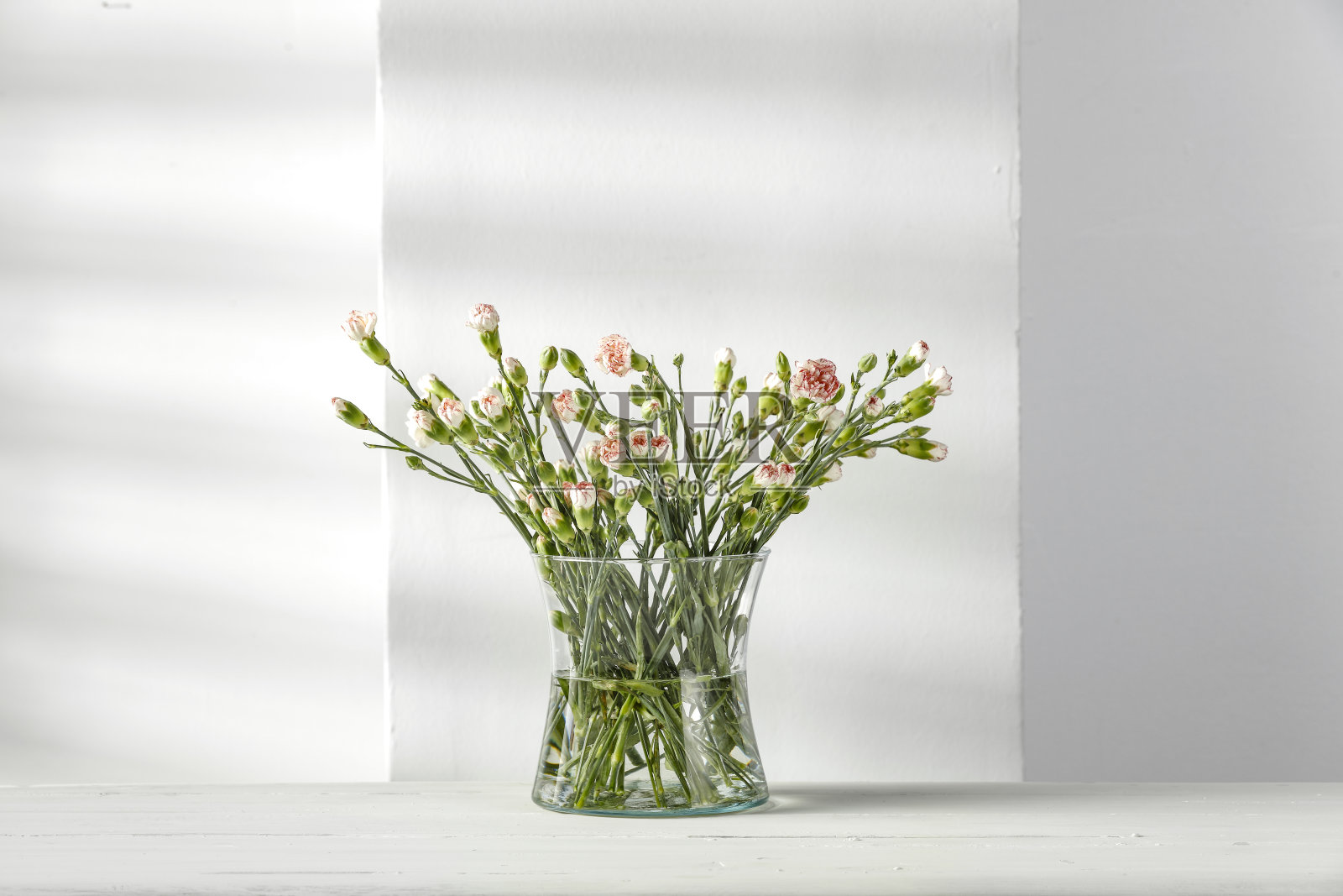 白色的小花装在白色背景的玻璃花瓶里。照片摄影图片