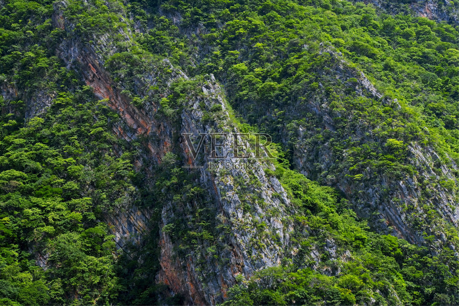 从恰帕斯州苏米德罗峡谷的美丽景色照片摄影图片