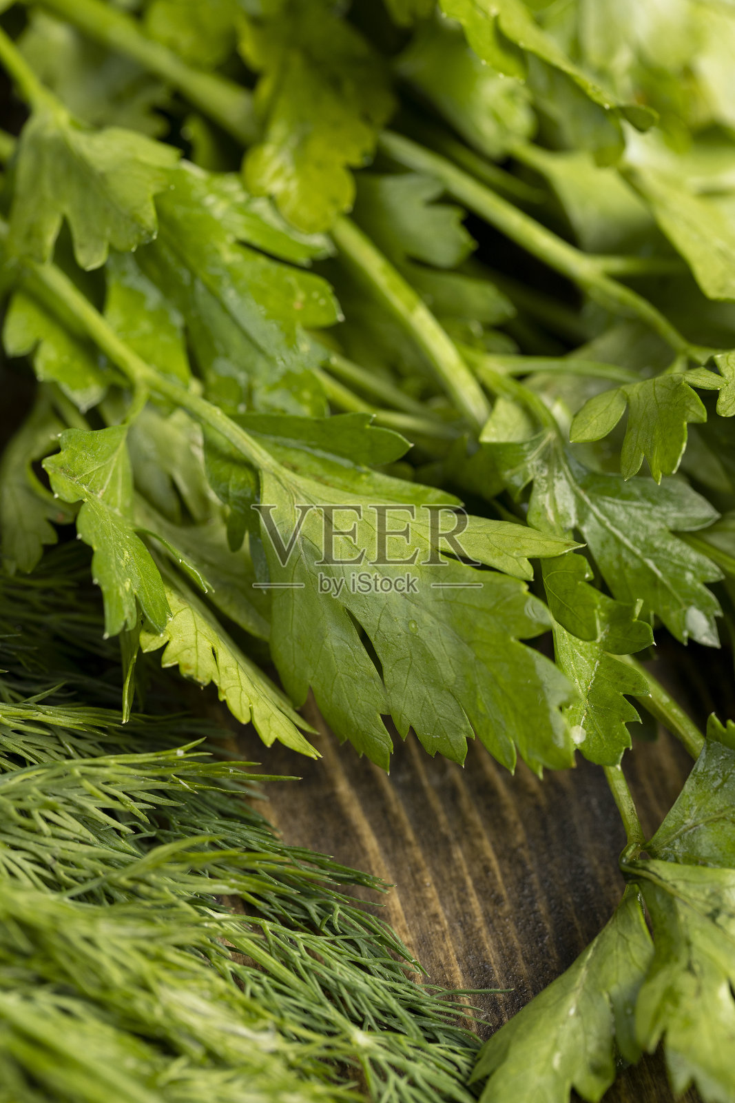 在烹饪中使用莳萝和洋葱的香料照片摄影图片