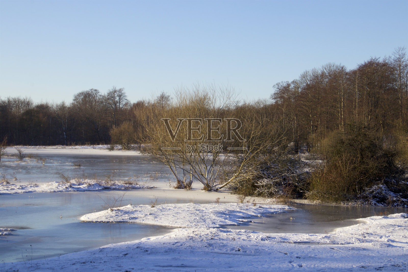 霜雪景观照片摄影图片