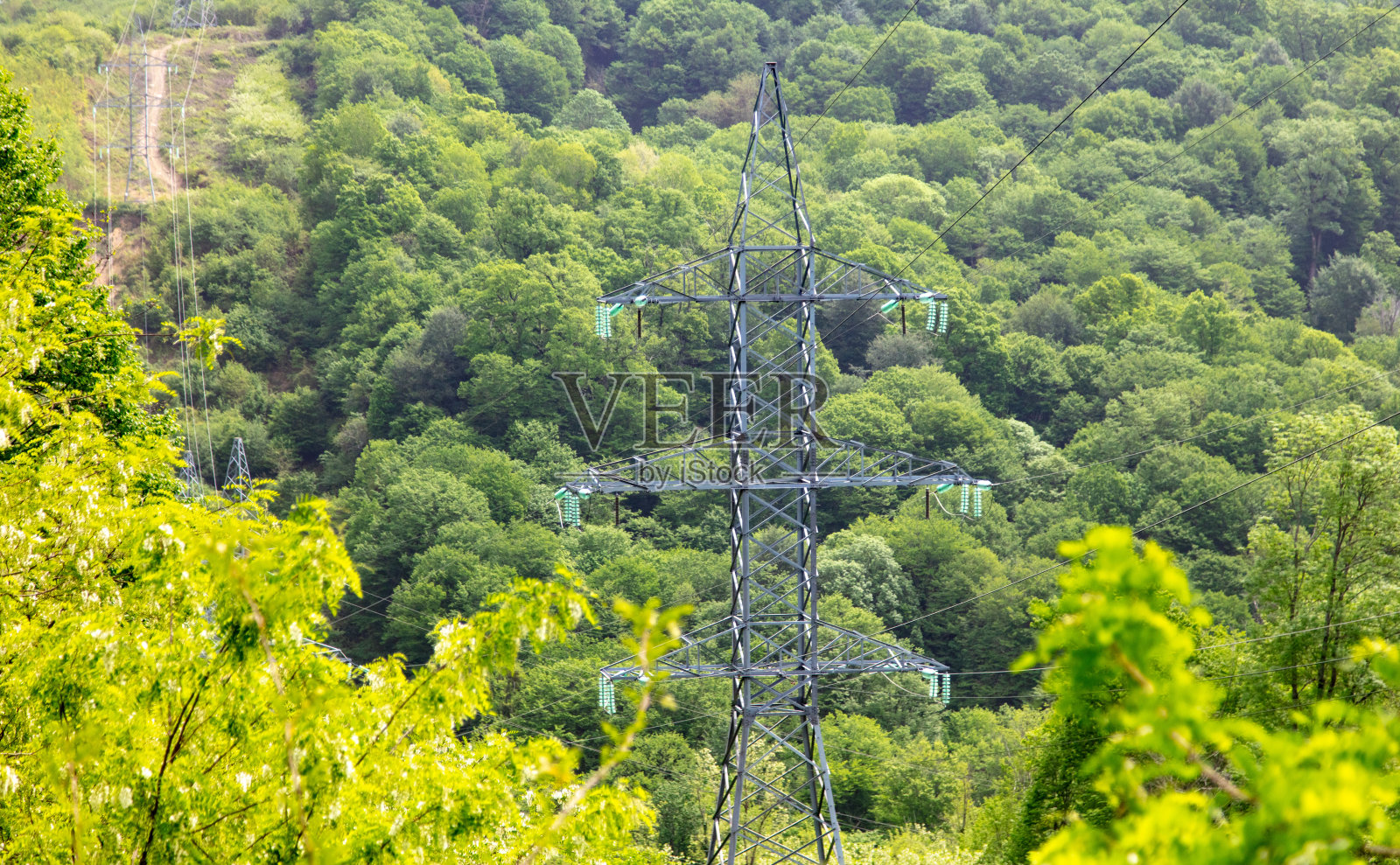 大自然中的电线杆在夏天的山上照片摄影图片