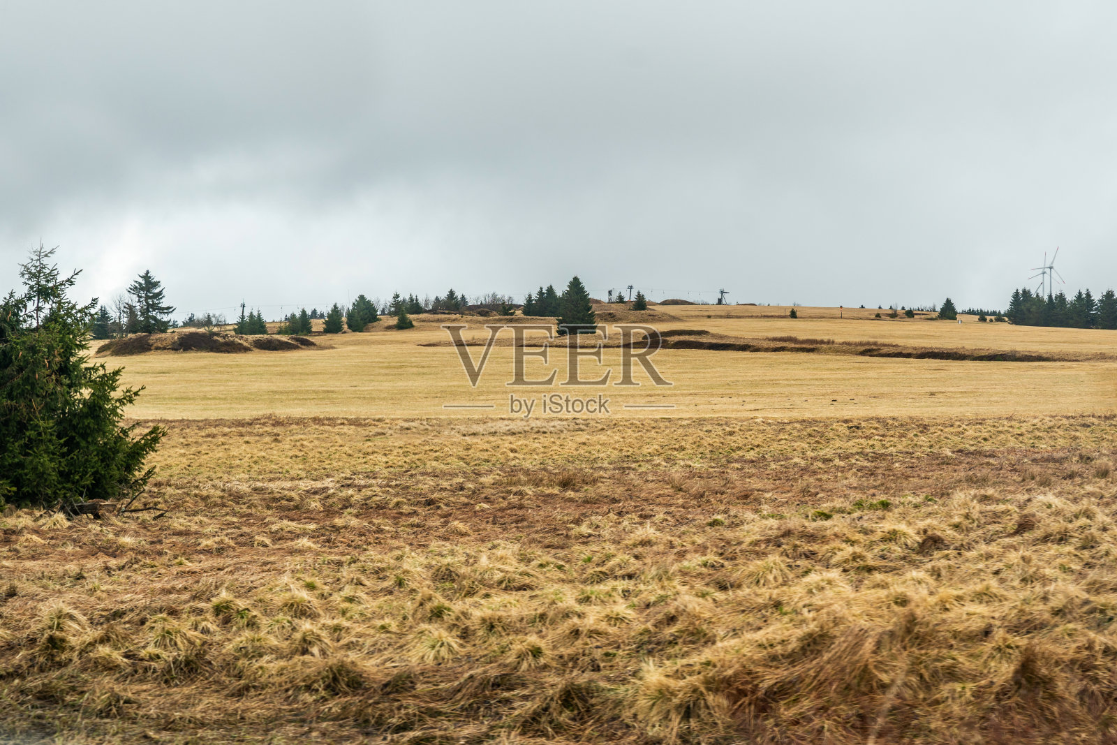 矿山地区长满草和树木的广阔山地平原照片摄影图片