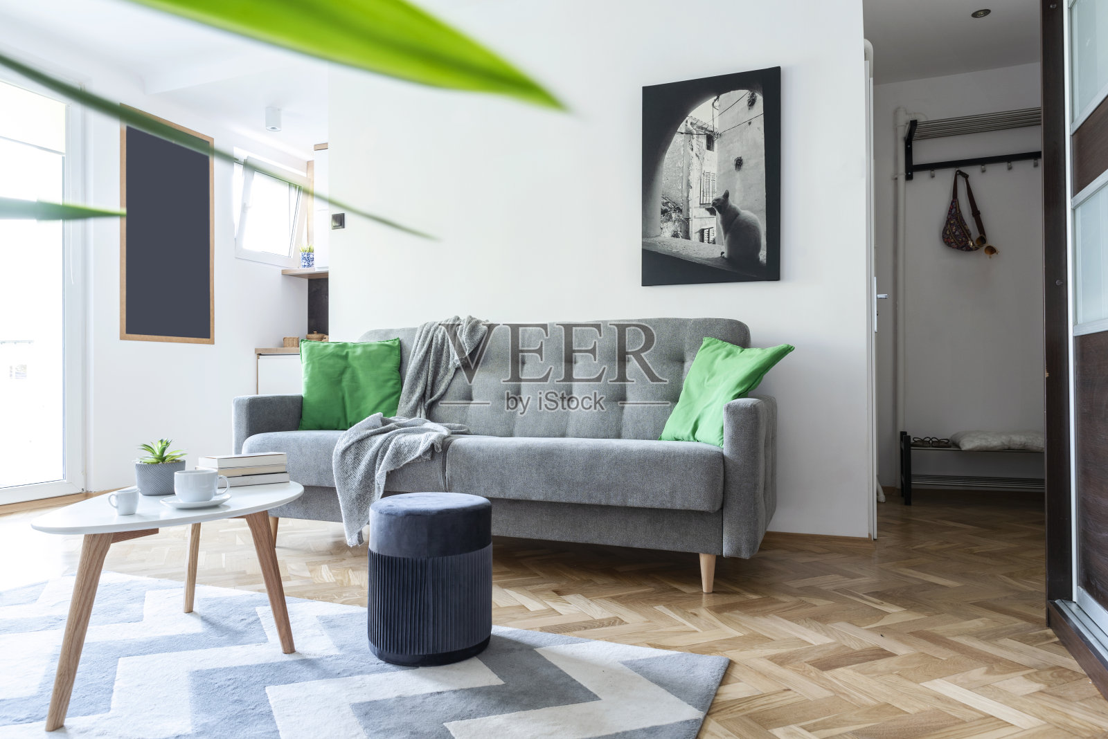 舒适的沙发,现代桌椅和木地板在客厅的家庭内部。有时髦家具的新公寓。照片摄影图片