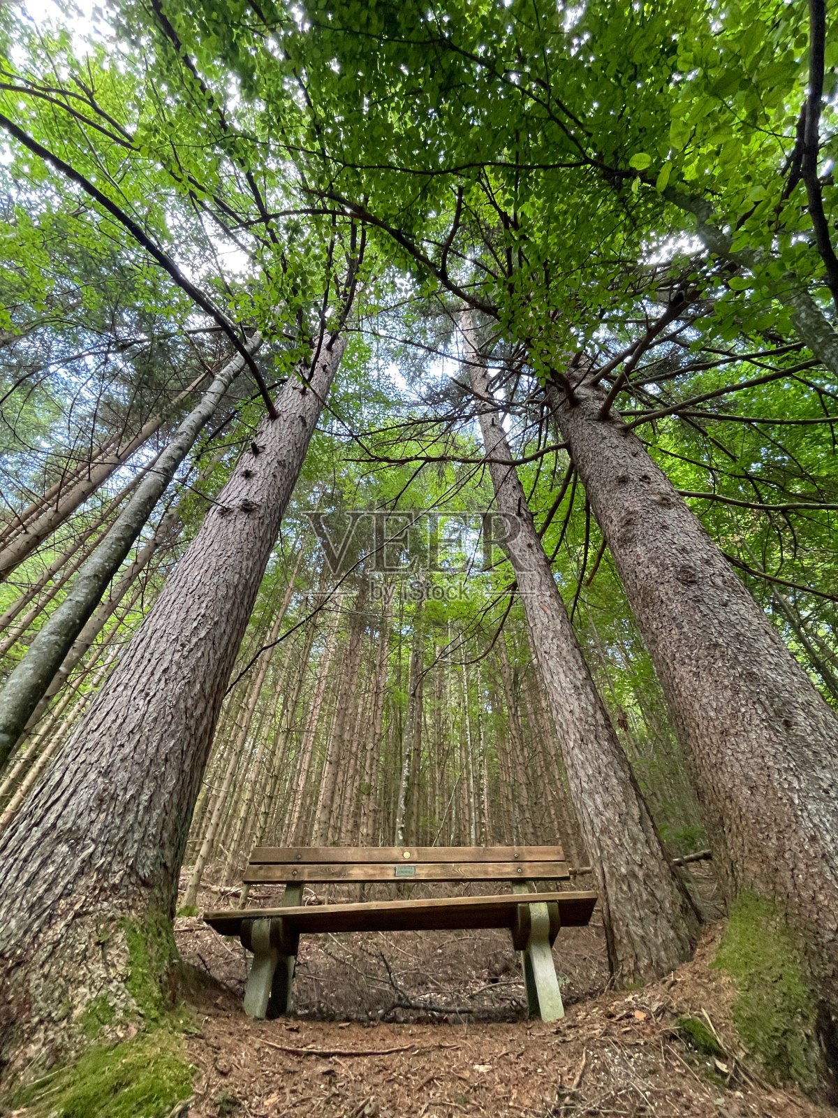 请坐照片摄影图片
