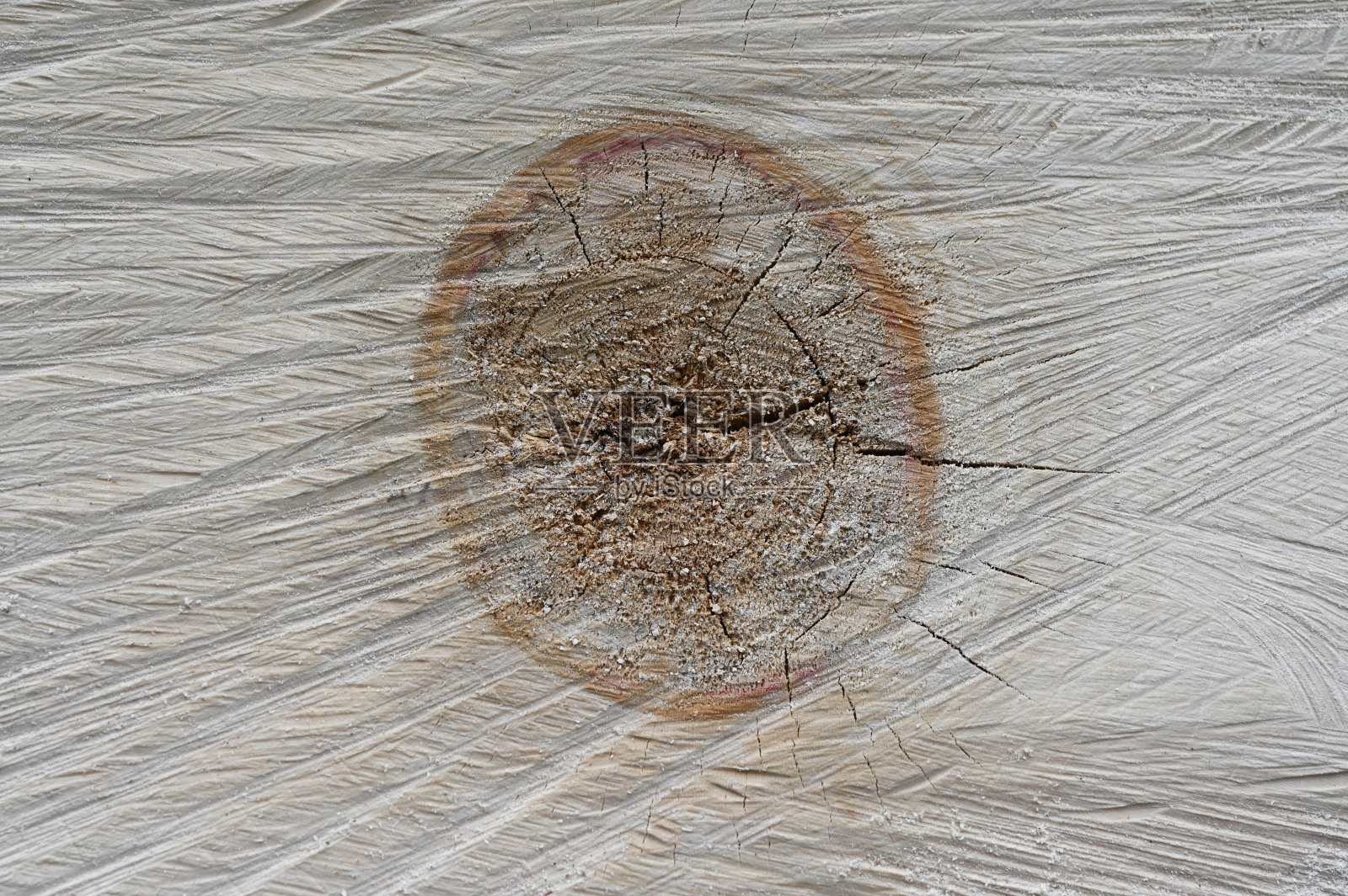 这棵树的一个漂亮的切块。纹理效果。照片摄影图片