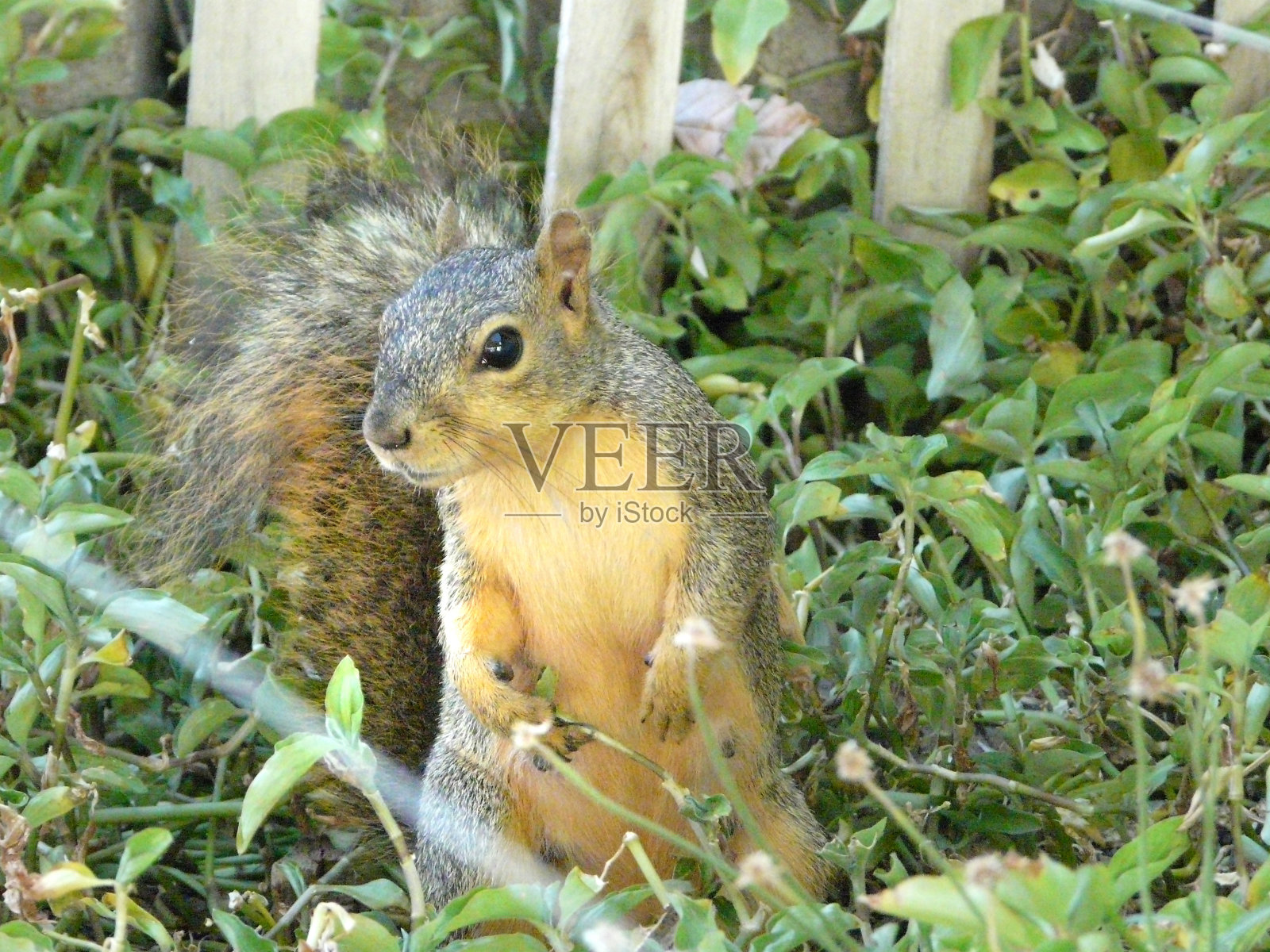 高度警戒照片摄影图片